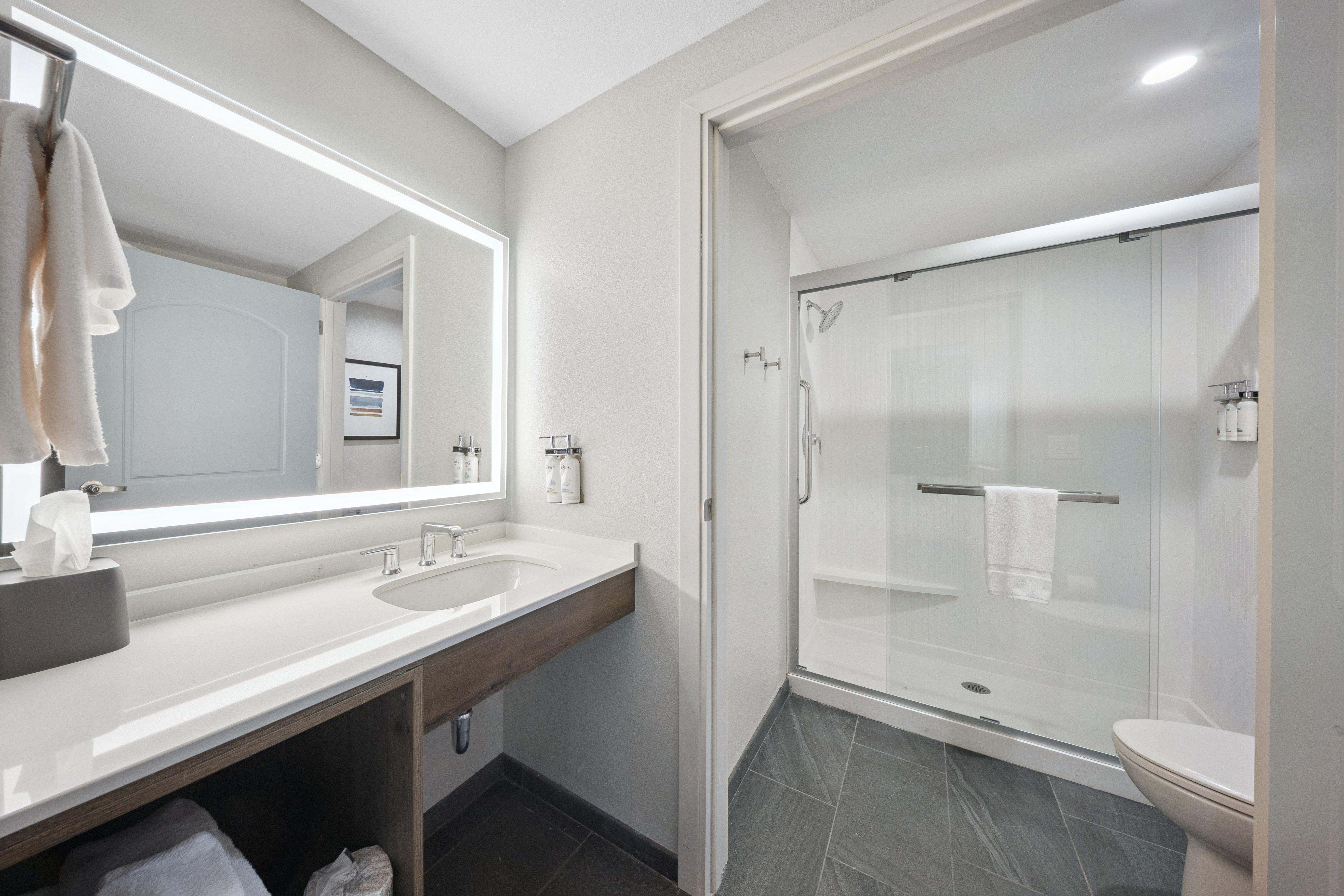 Suite Accessible King Size Bed