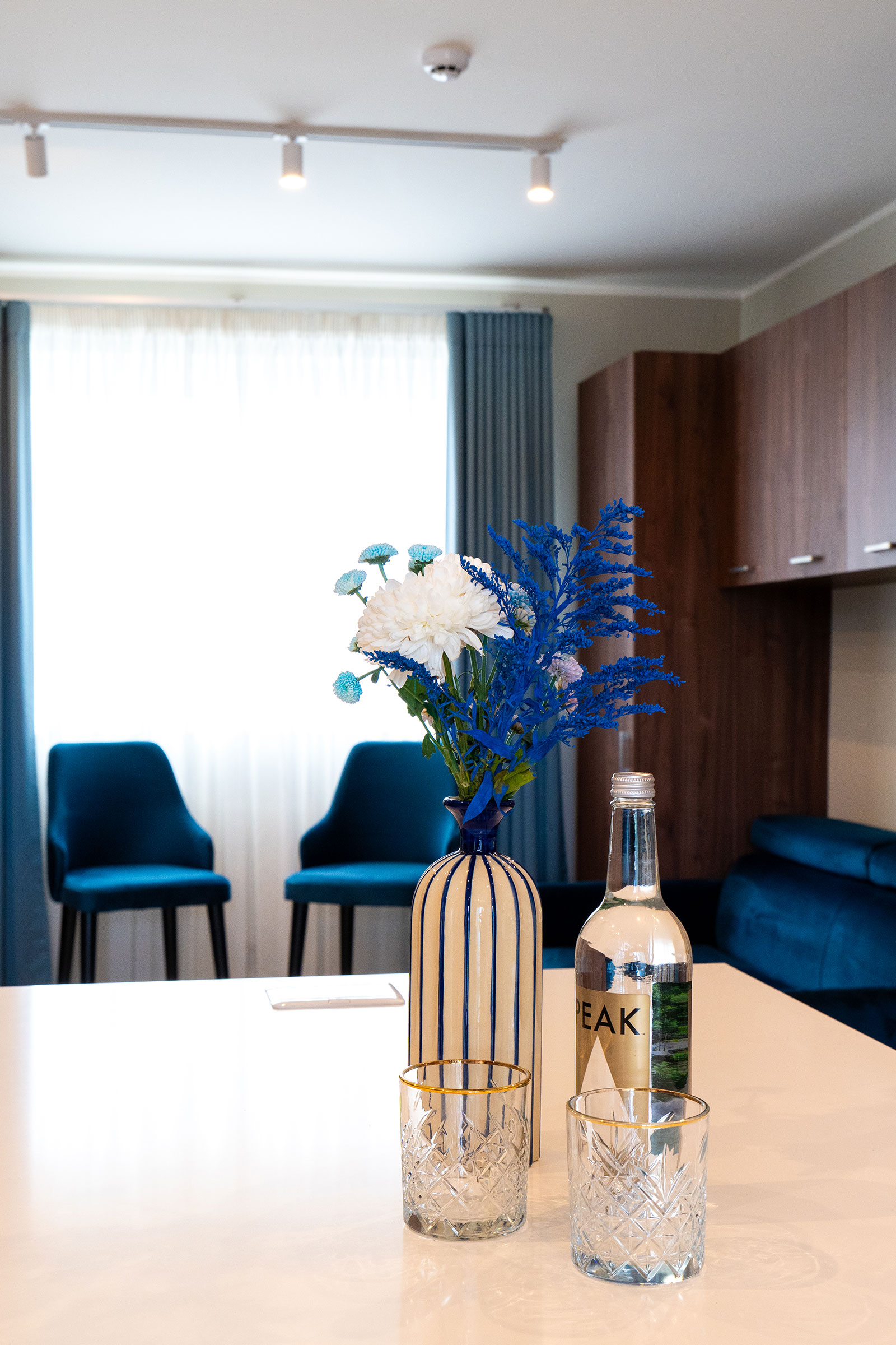 Suite Executive One Bedroom