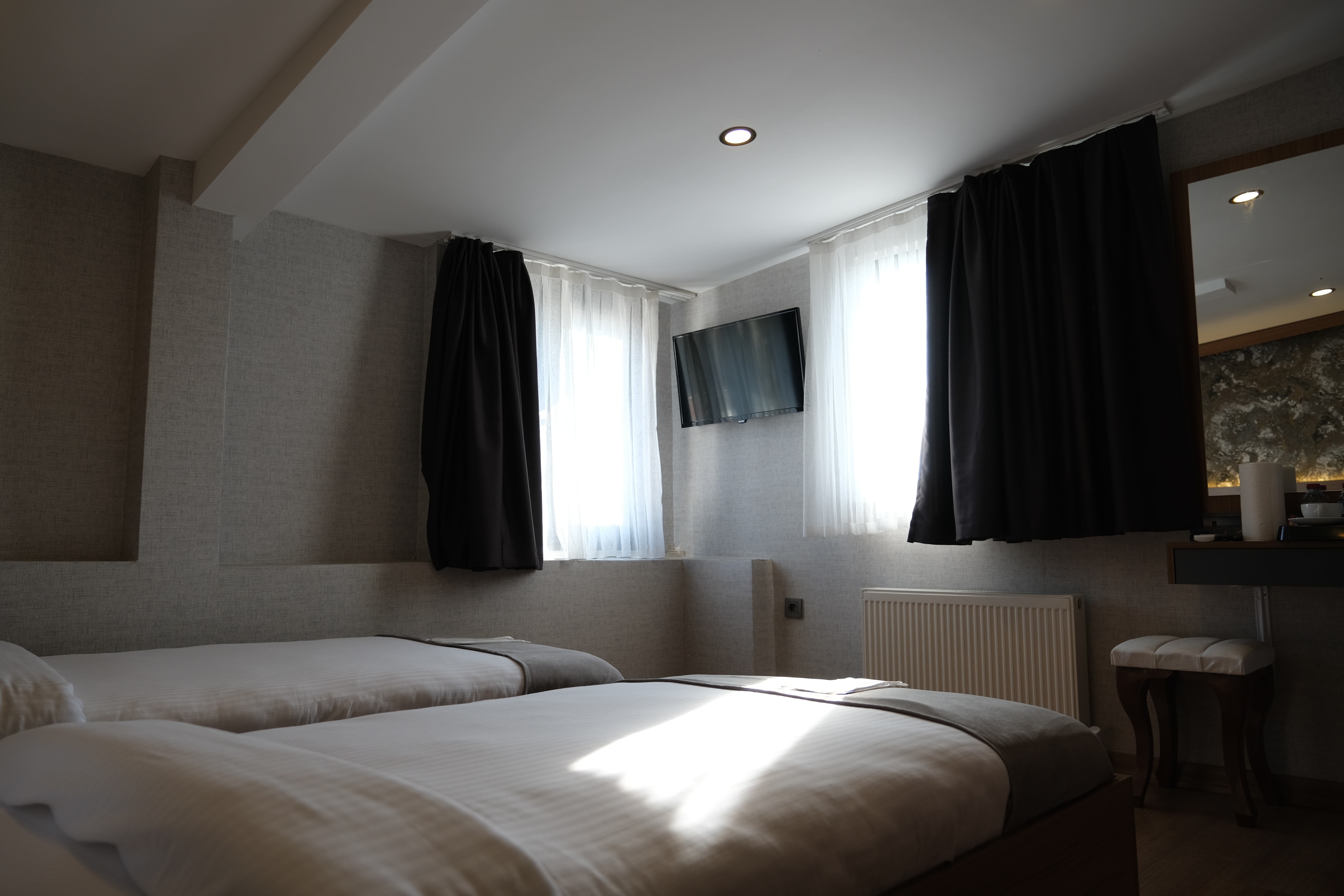 Double or Twin Standard