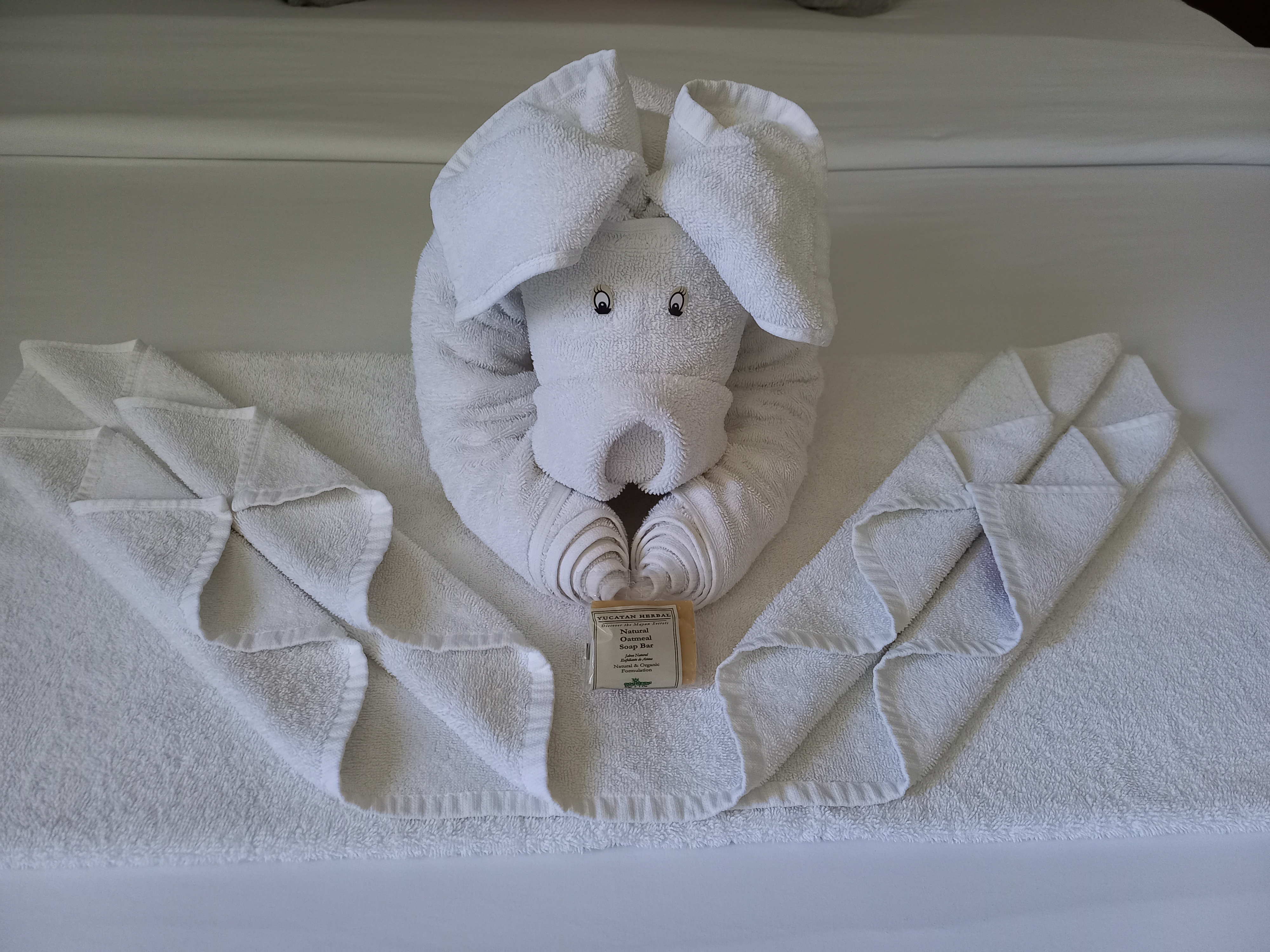 Junior Suite Superior King Bed