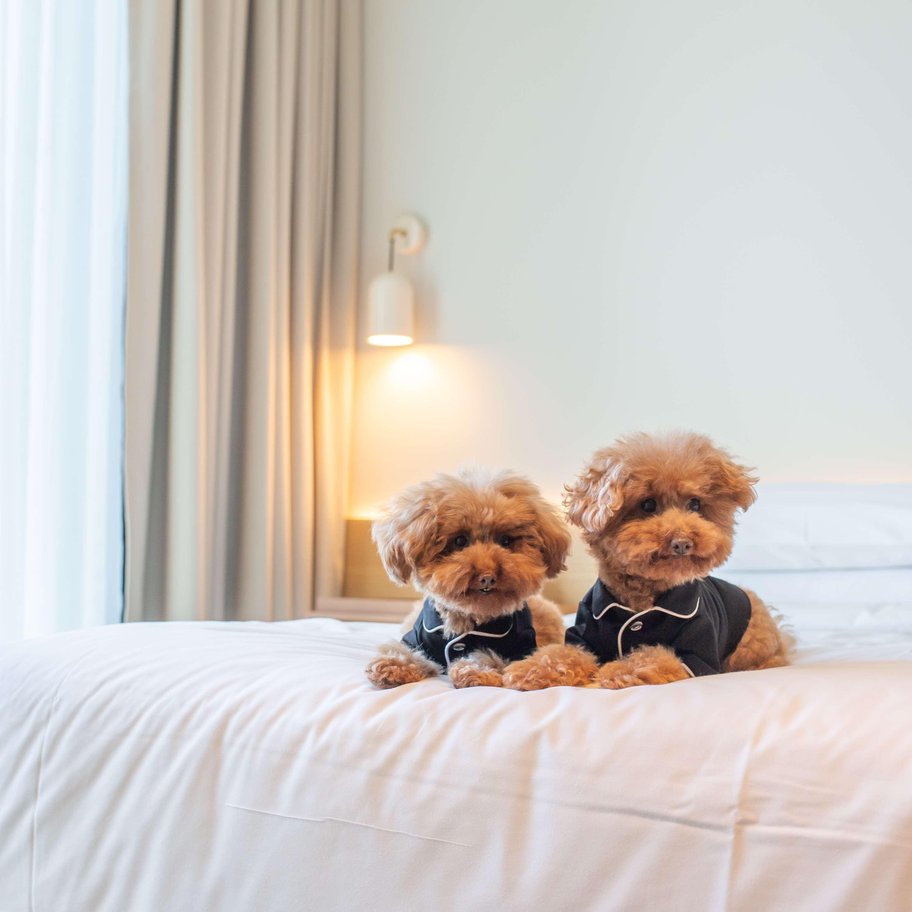 Double King Size Bed