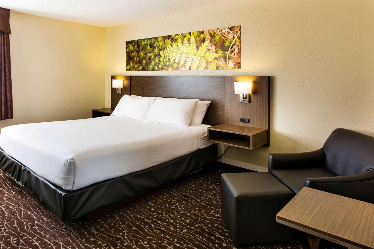 Room Accessible-queen Size Bed