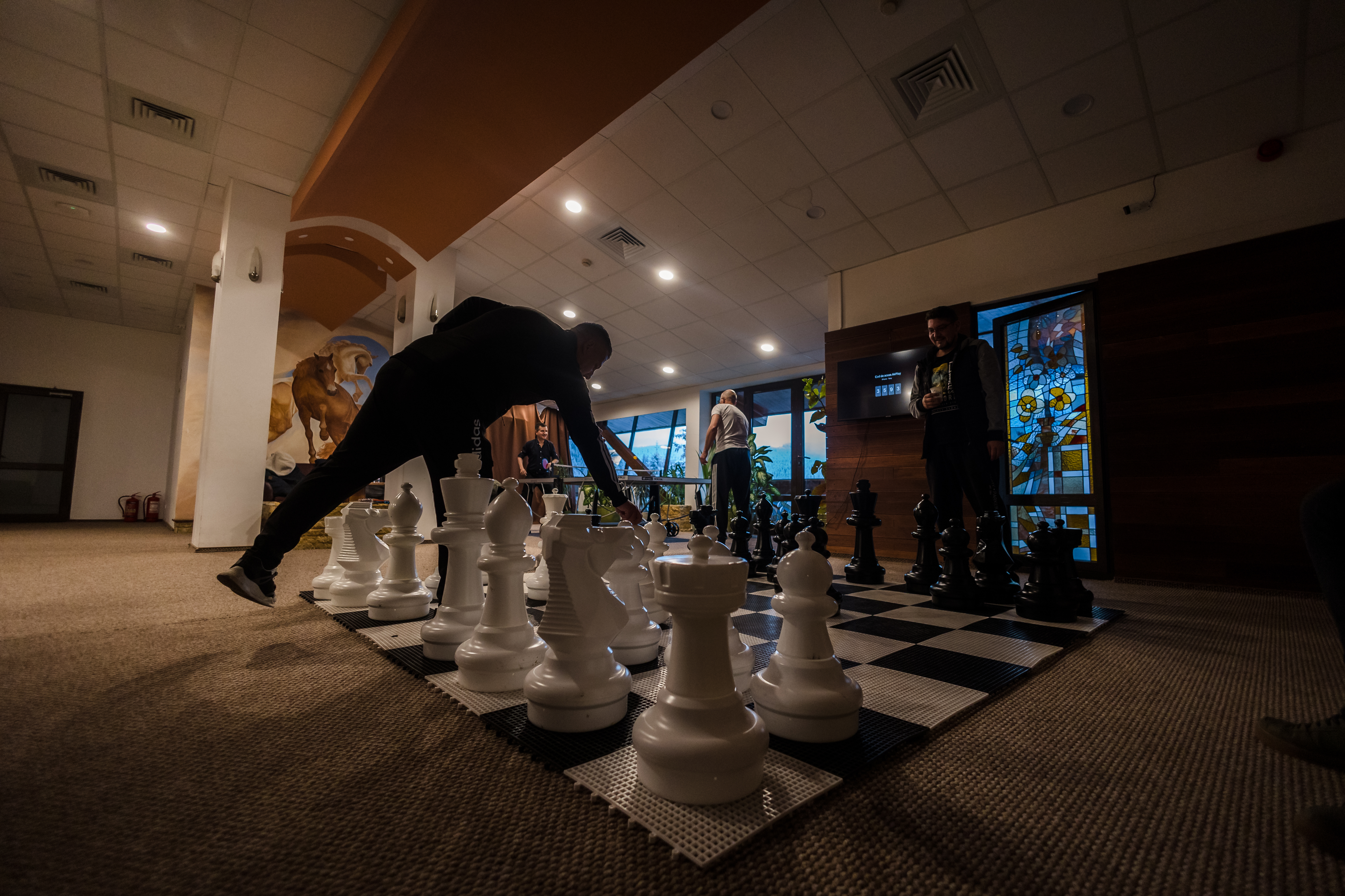 Sports and Entertainment