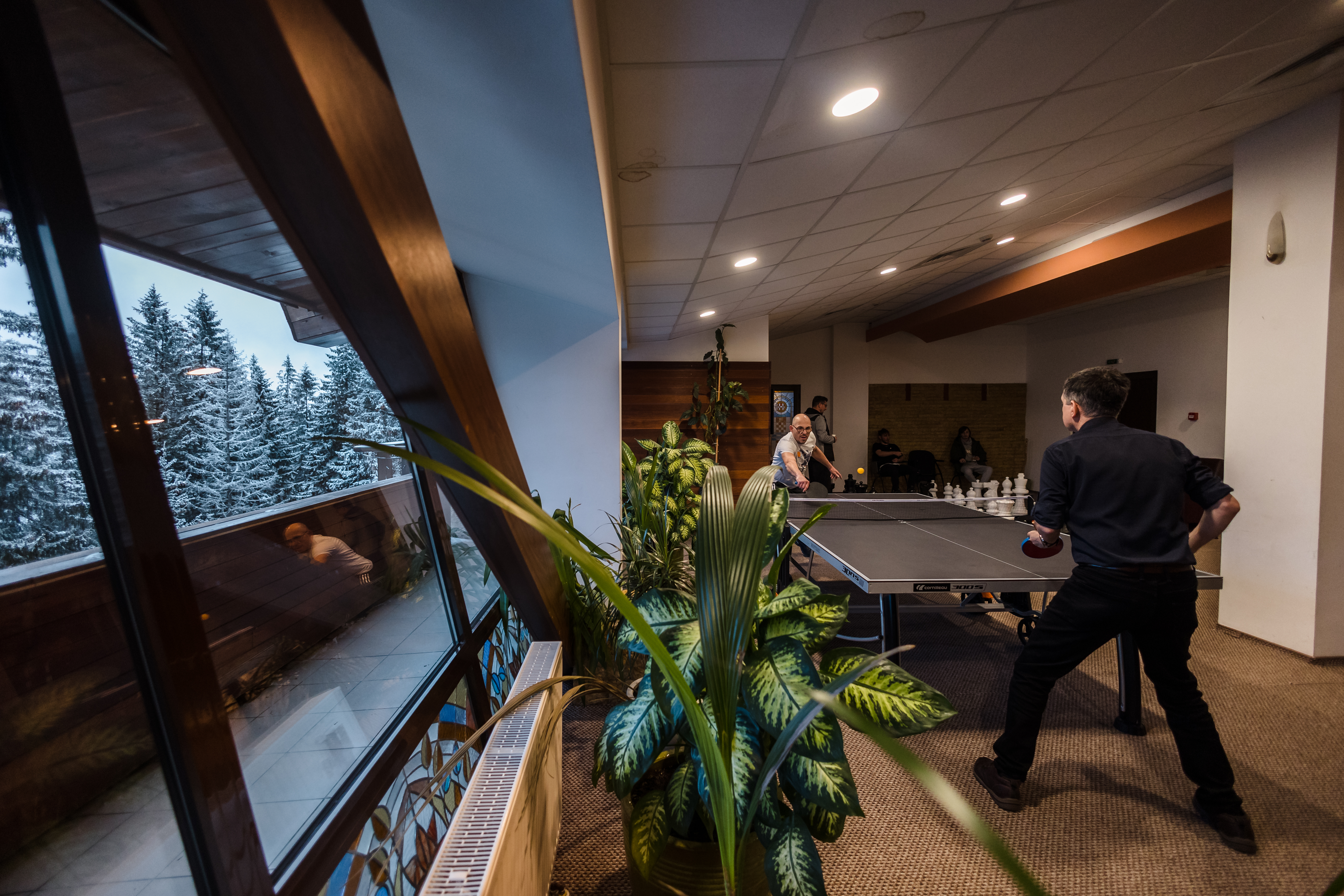 Sports and Entertainment