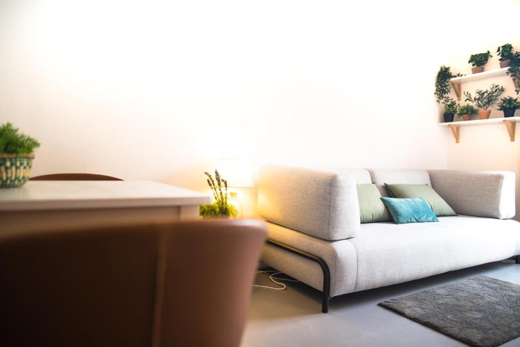 Apartment Capacity 10