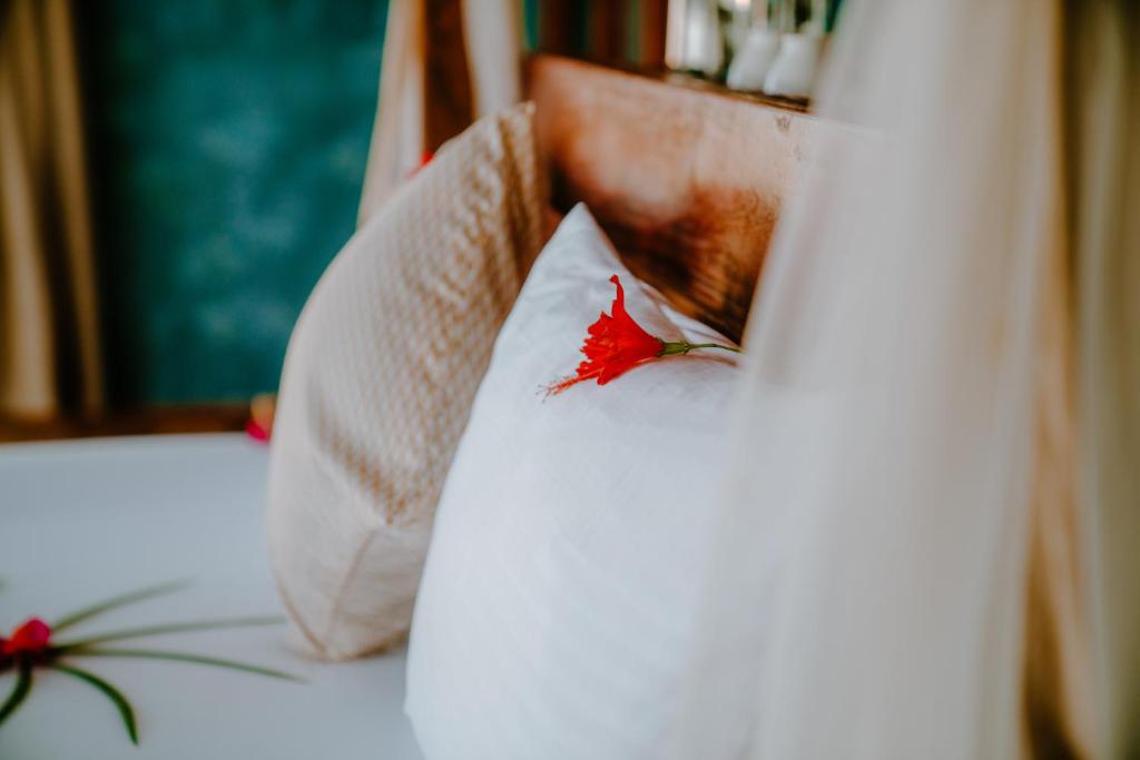 Suite Superior King Bed