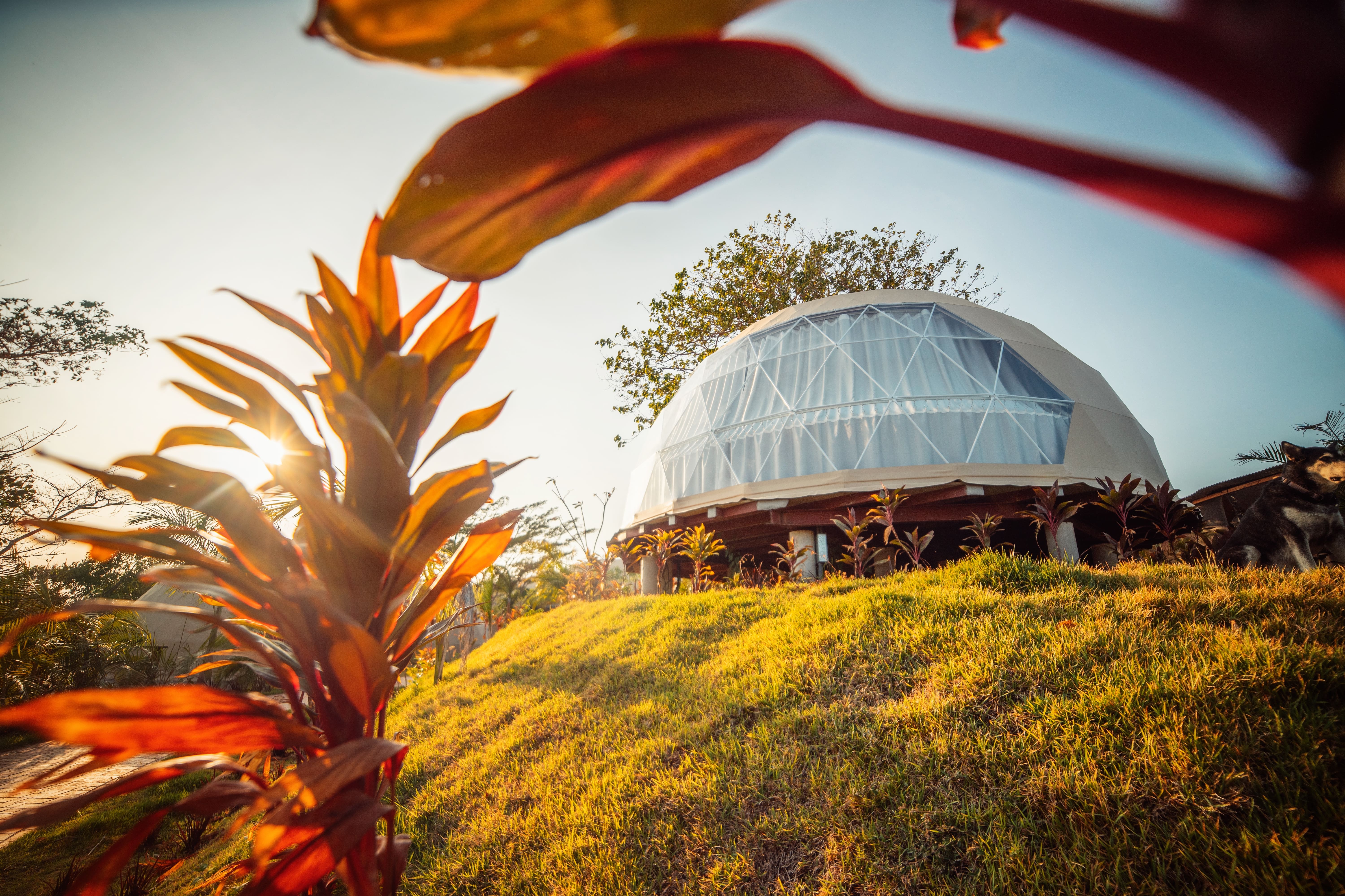 Quadruple Queen Size Bed
