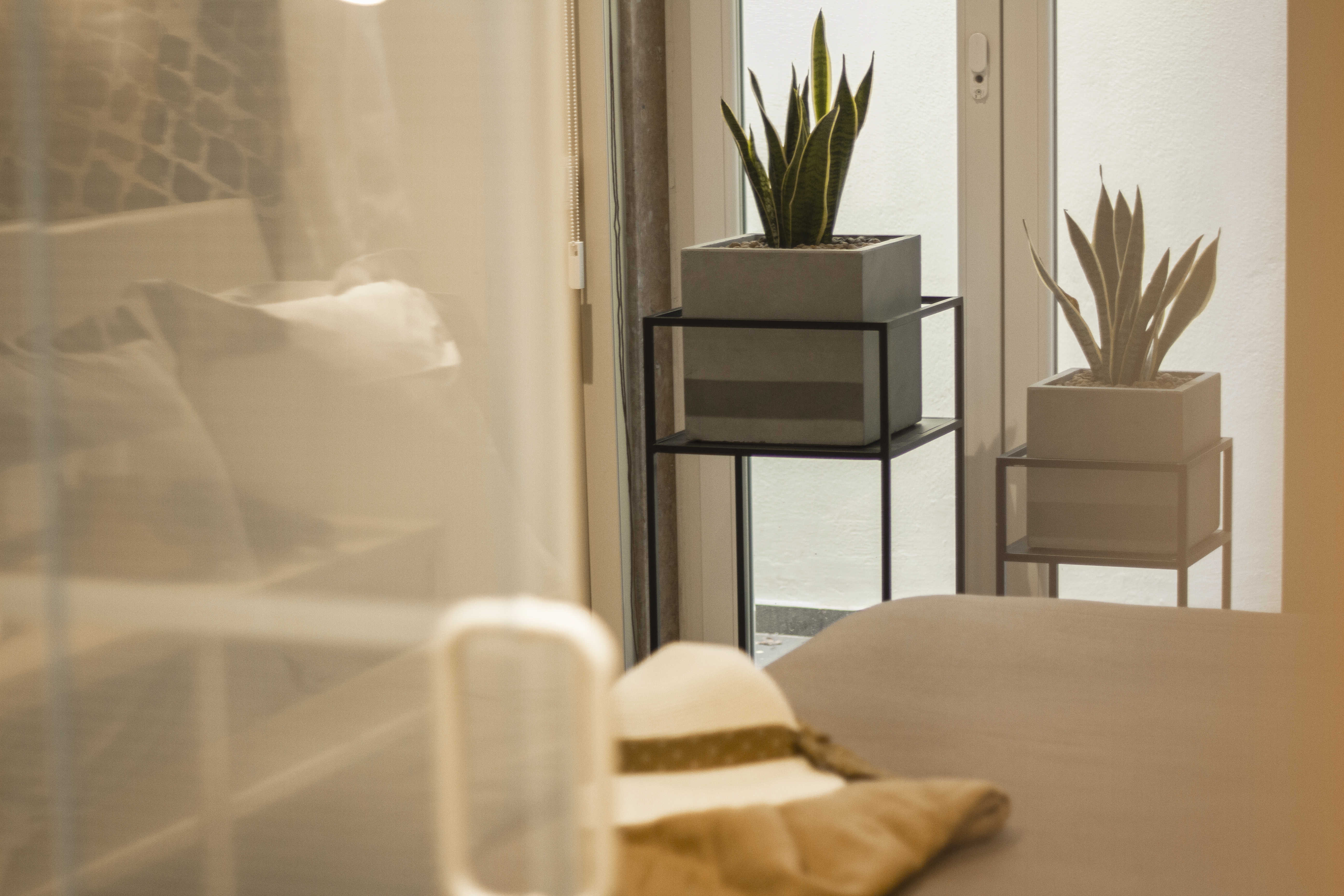 Double or Twin Economy