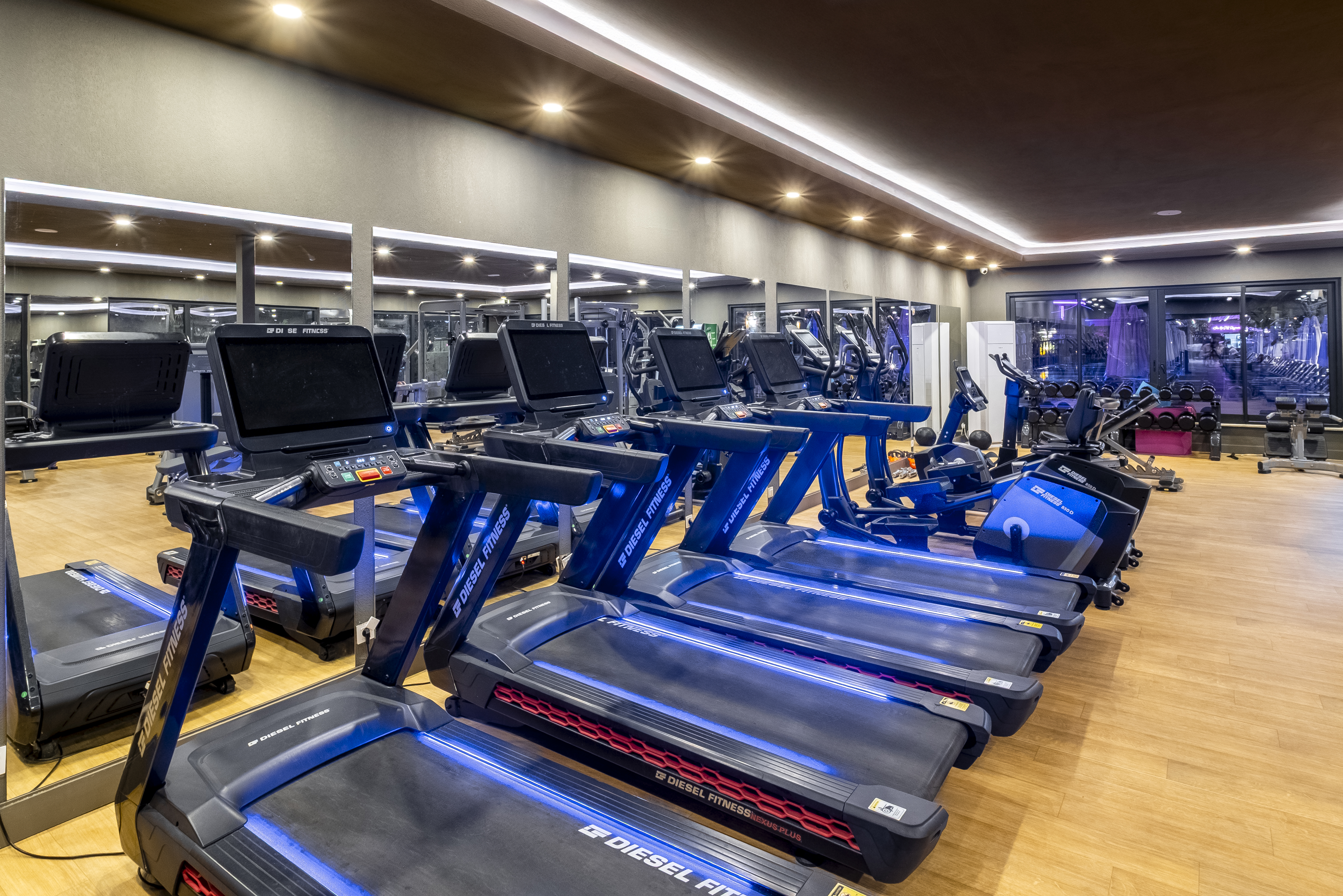 Sports and Entertainment