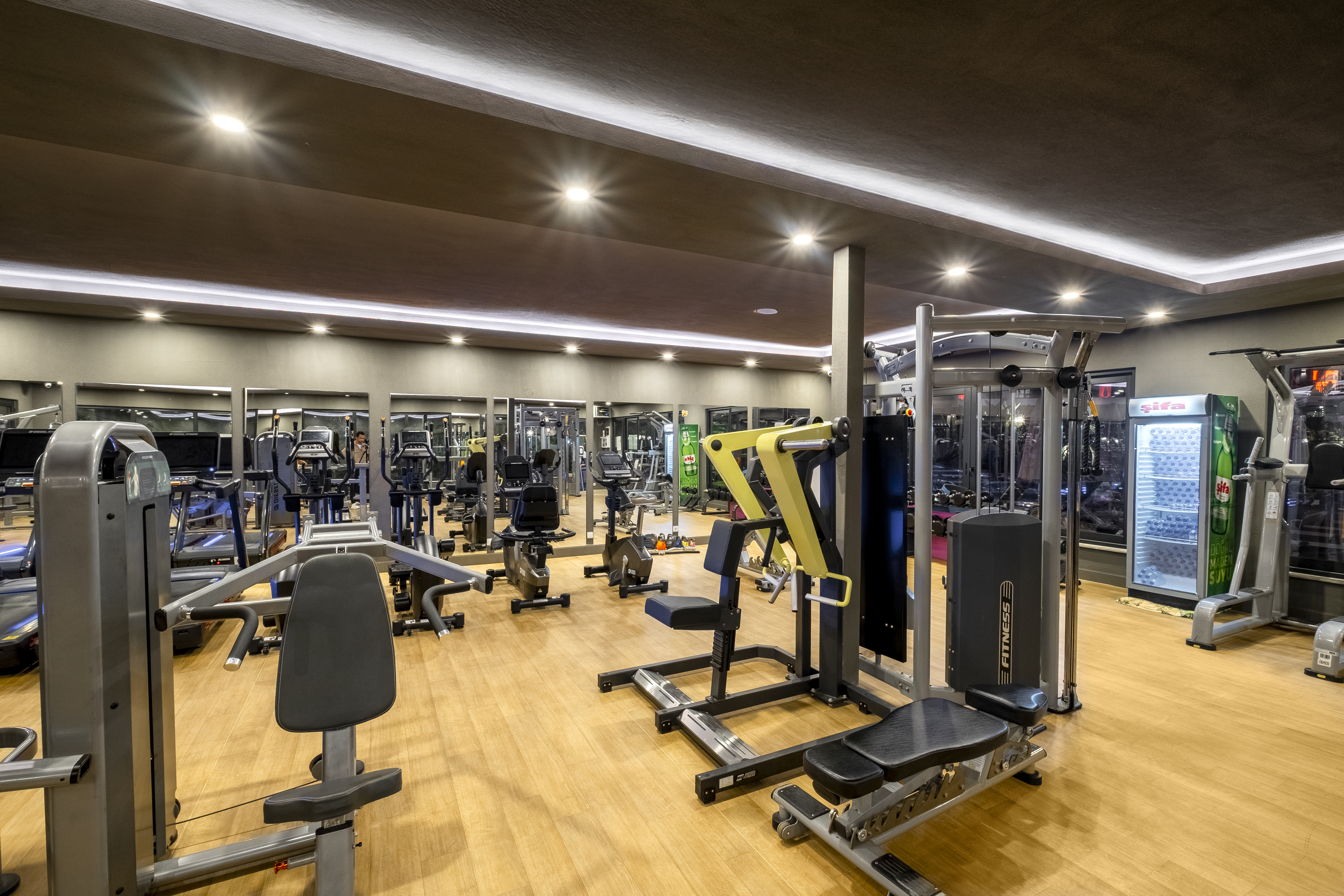 Sports and Entertainment