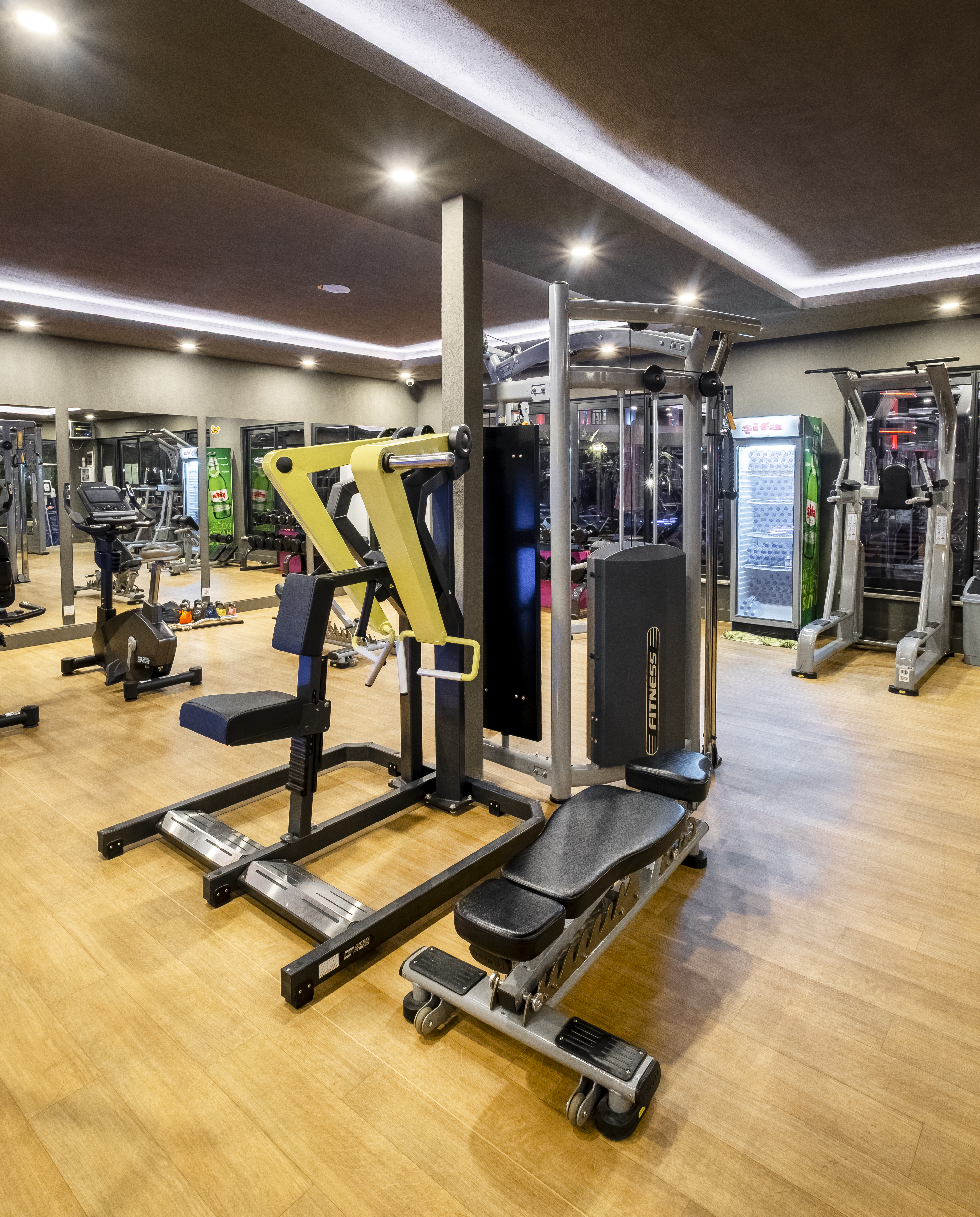 Sports and Entertainment