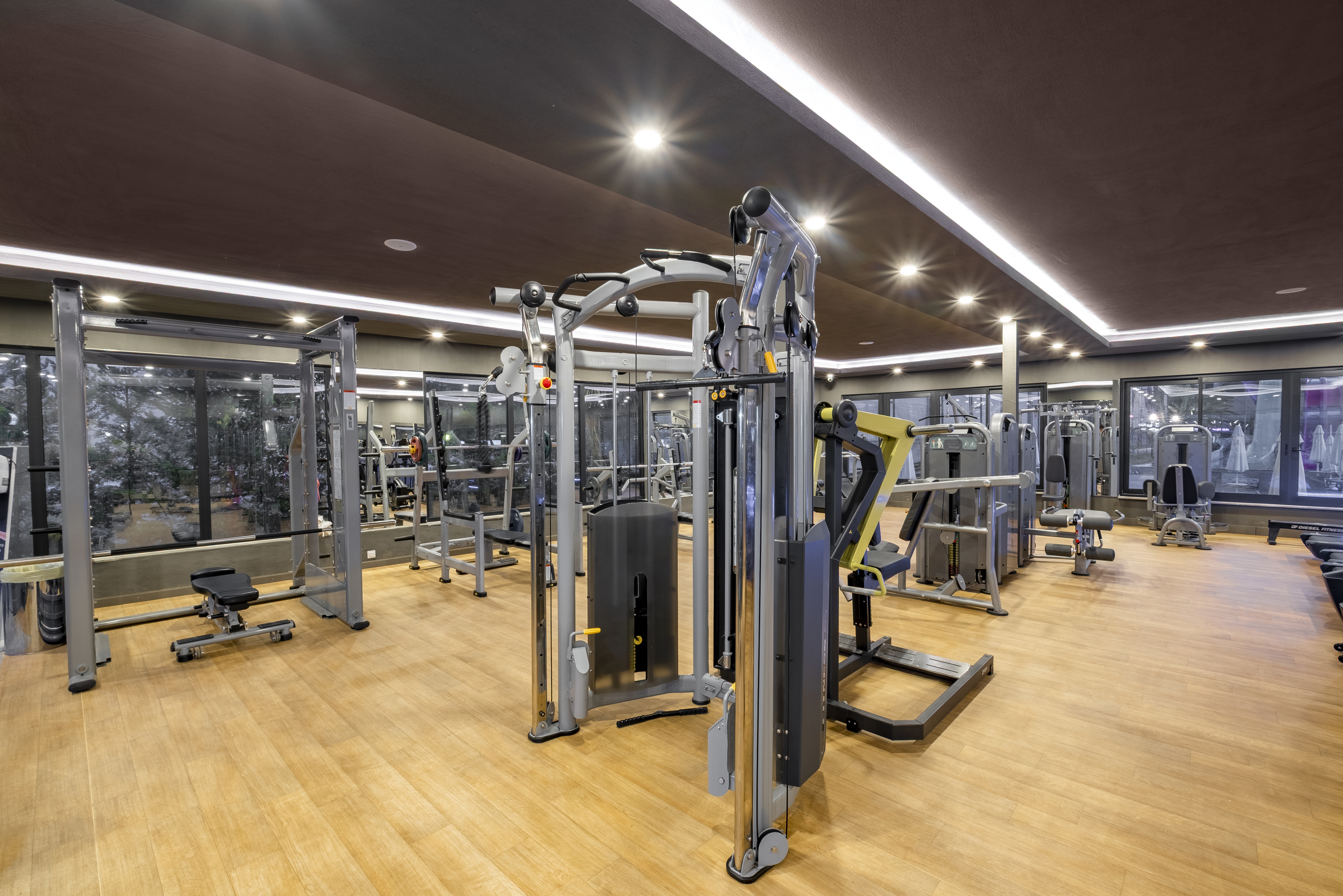 Sports and Entertainment