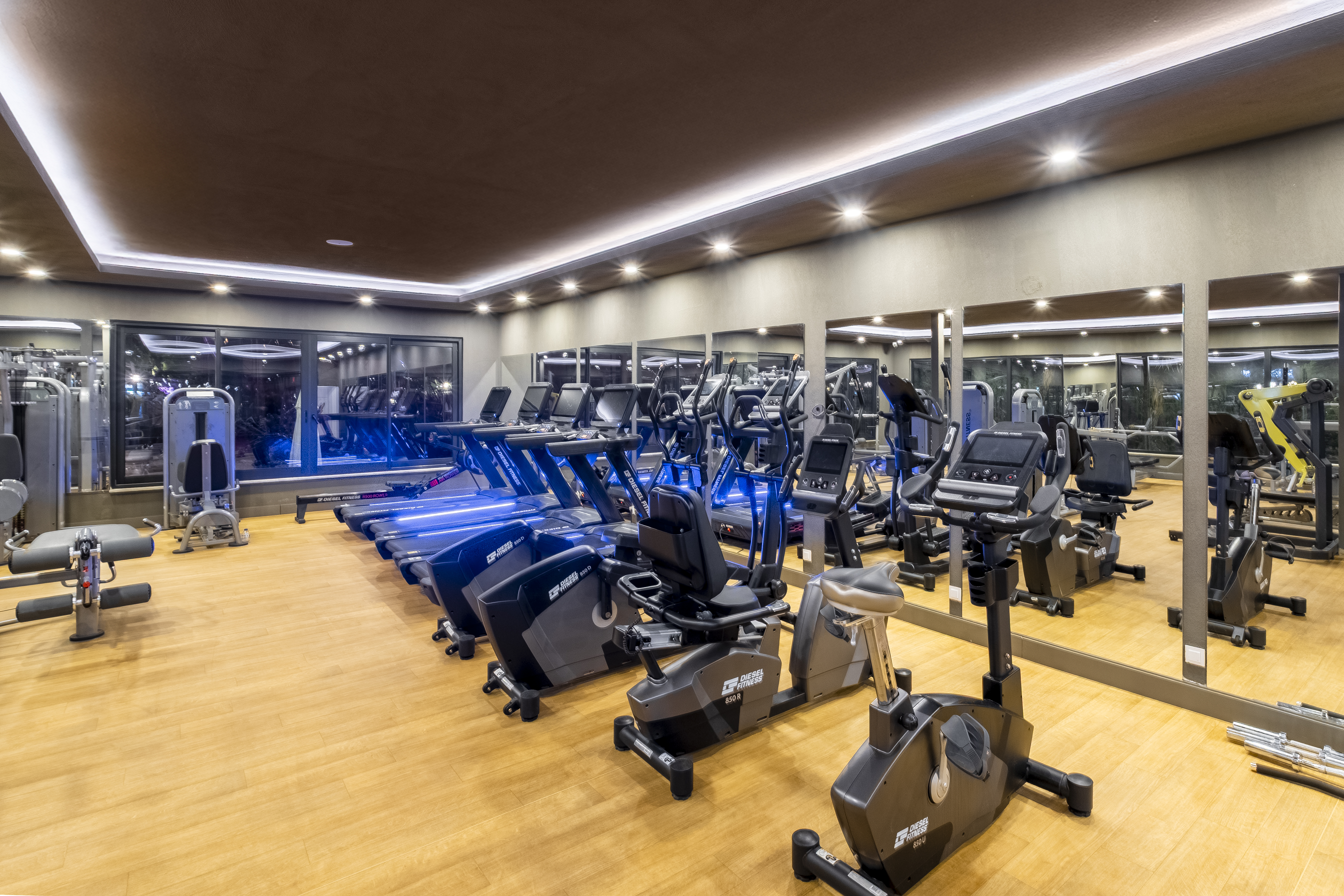 Sports and Entertainment