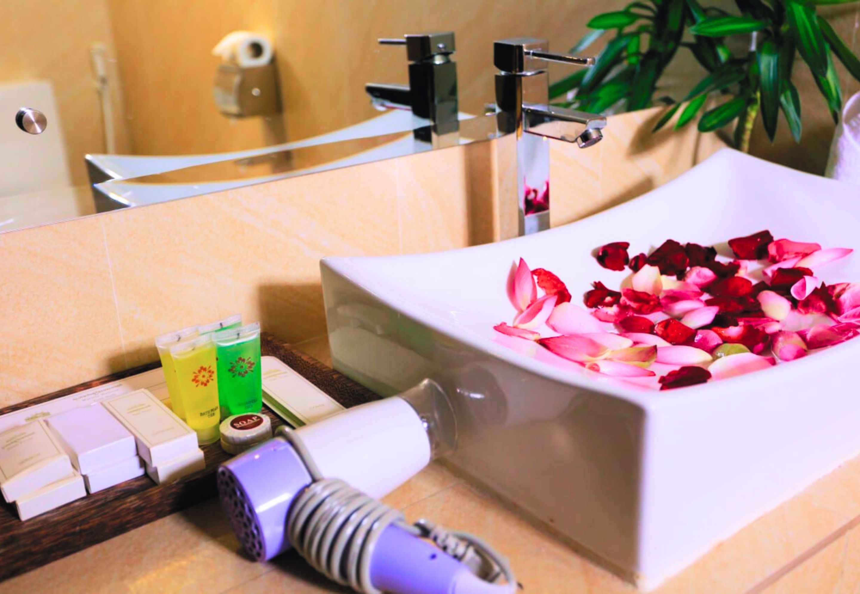 Twin Deluxe with Balcony