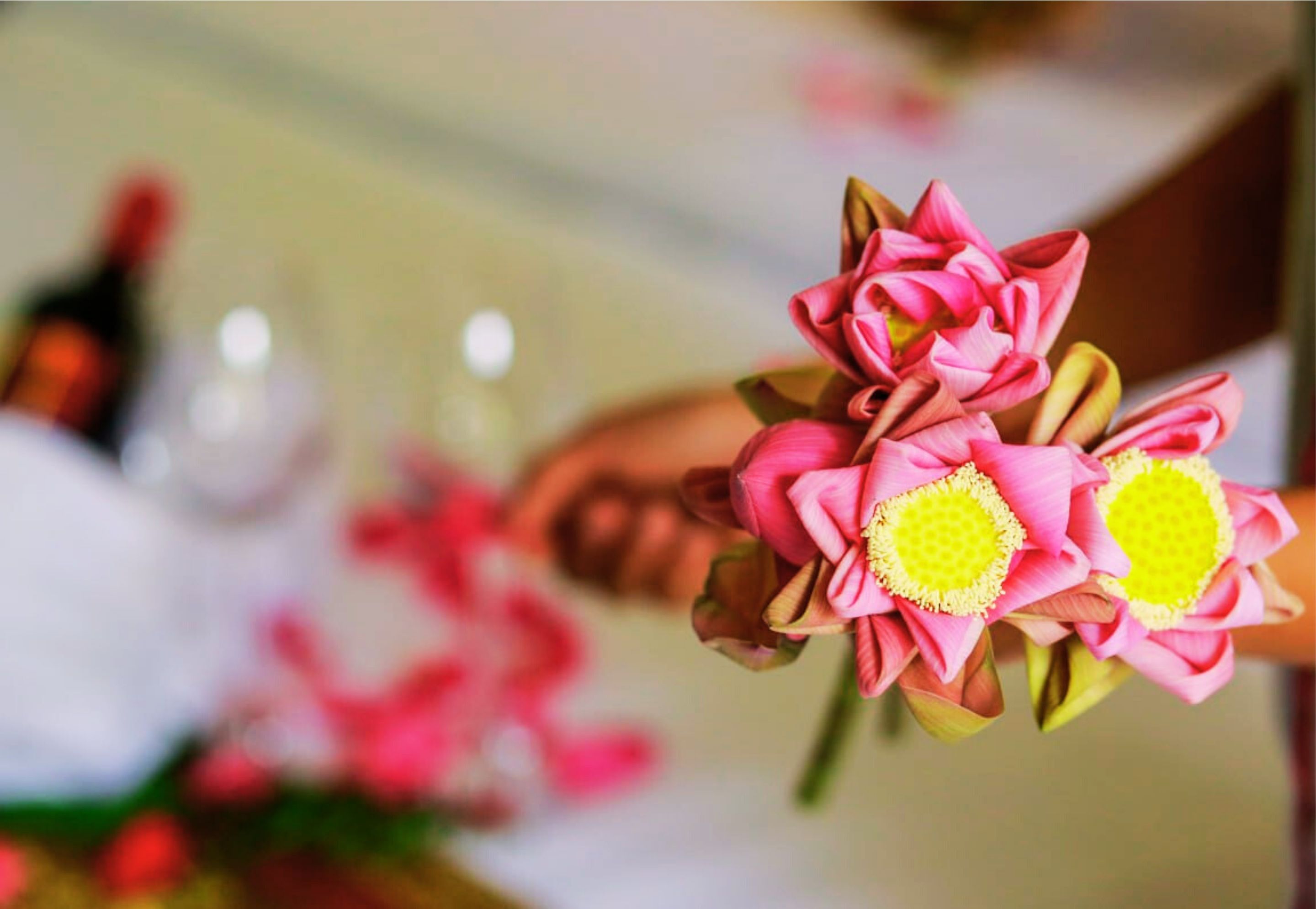 Double Deluxe Pool View