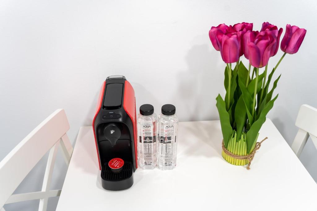 Apartment One Bedroom