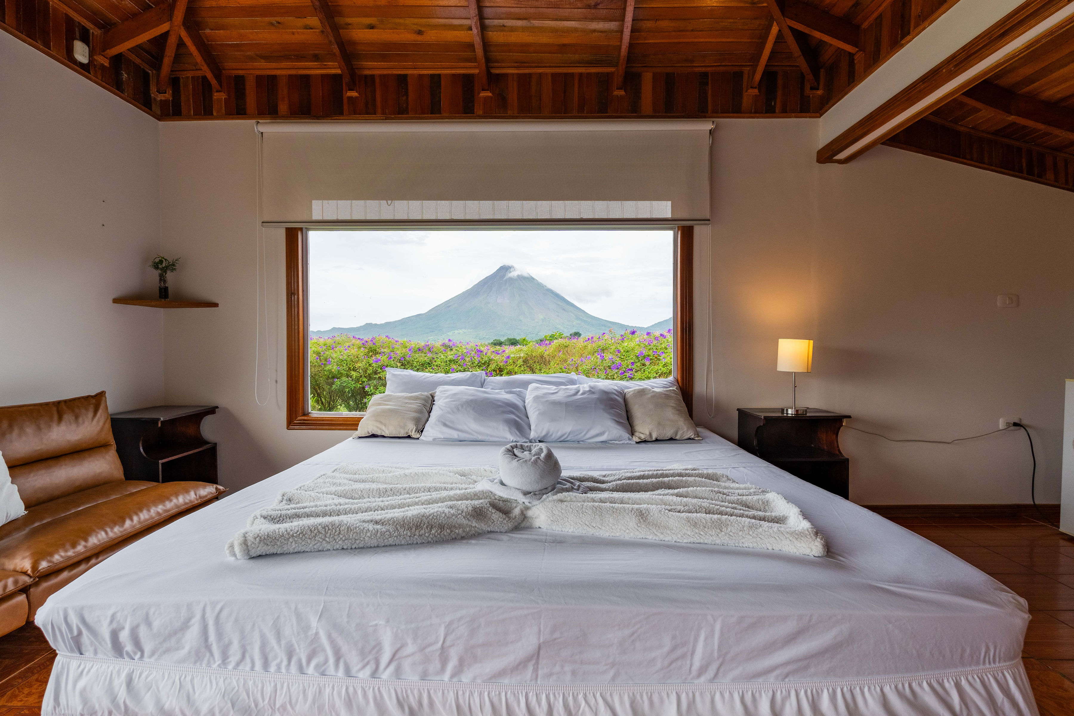 Family Room Superior