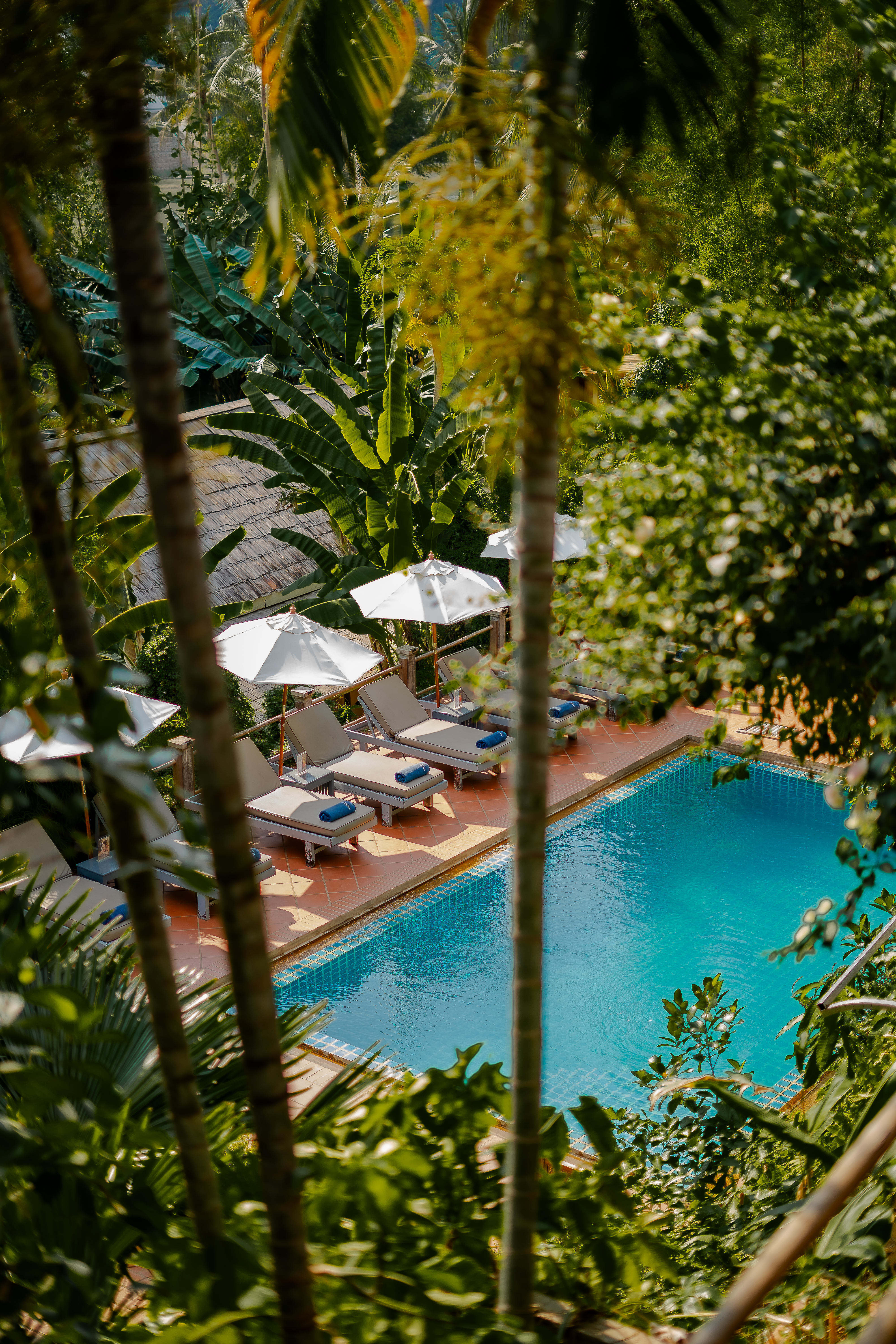 Double or Twin Classic with Terrace