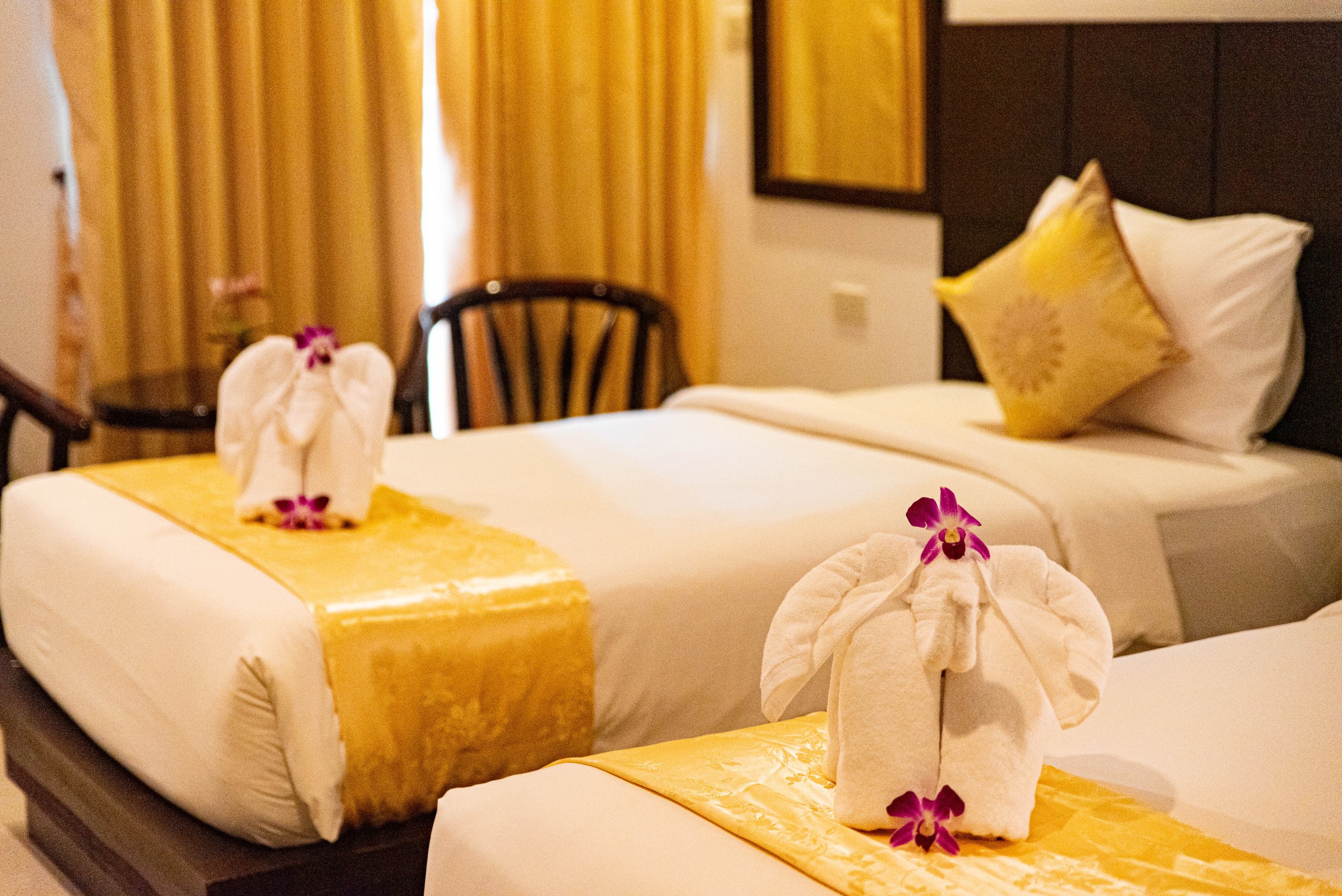 Double or Twin Superior