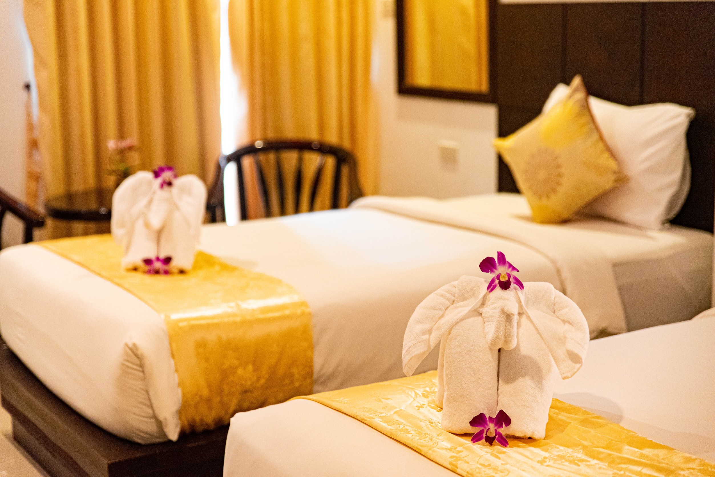 Double or Twin Superior