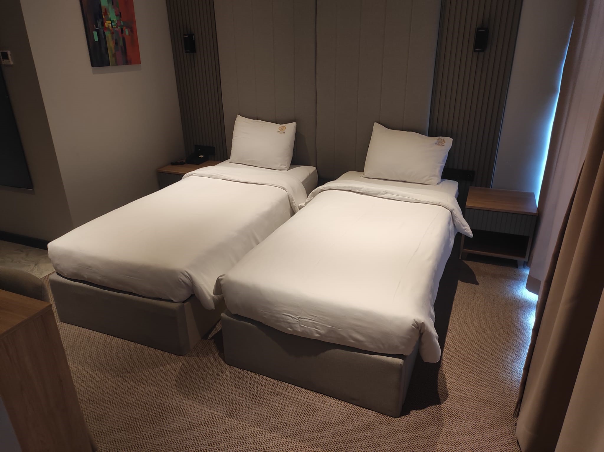 Double or Twin Economy