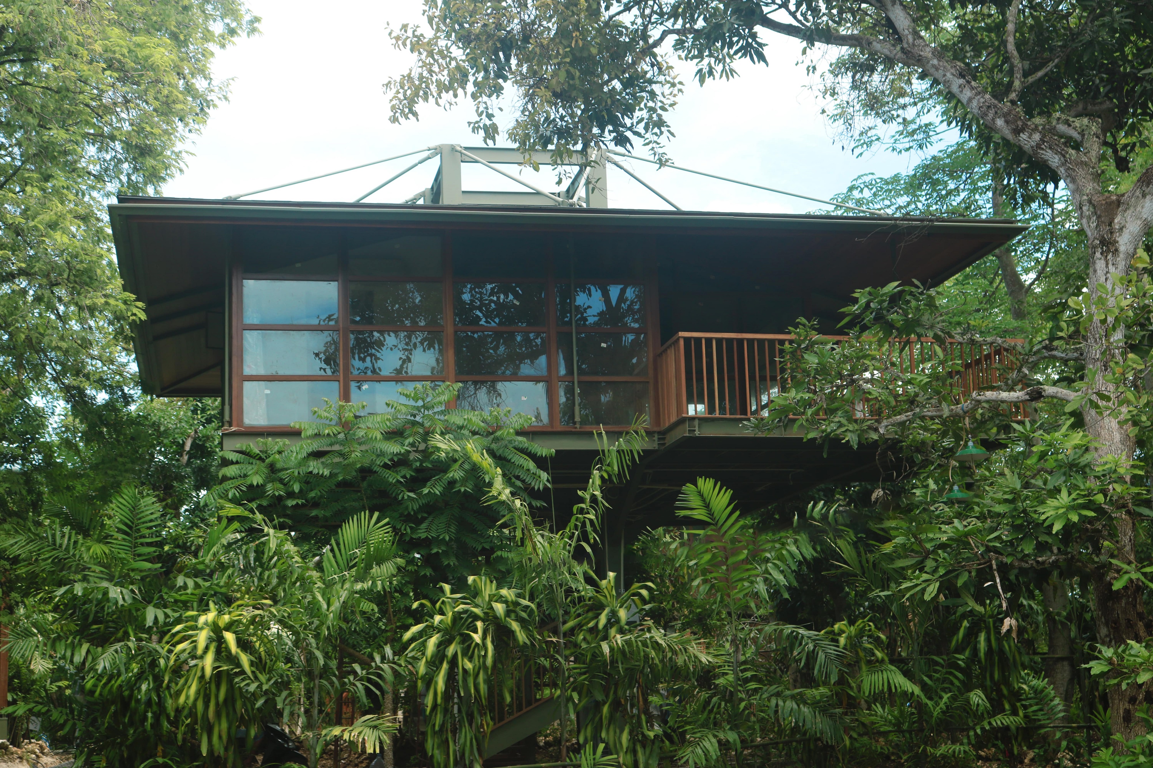 Studio Deluxe One Bed