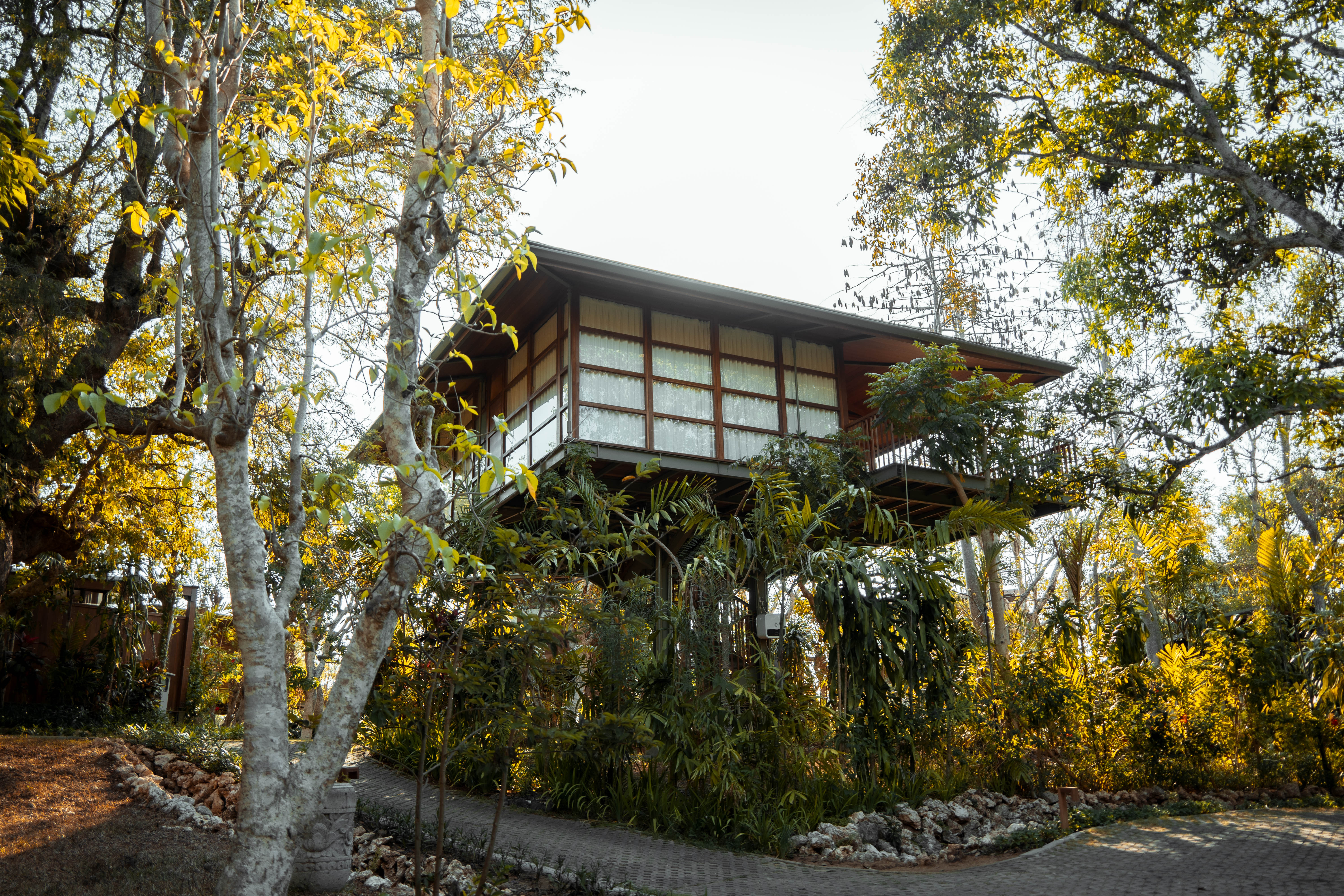 Studio Deluxe One Bed