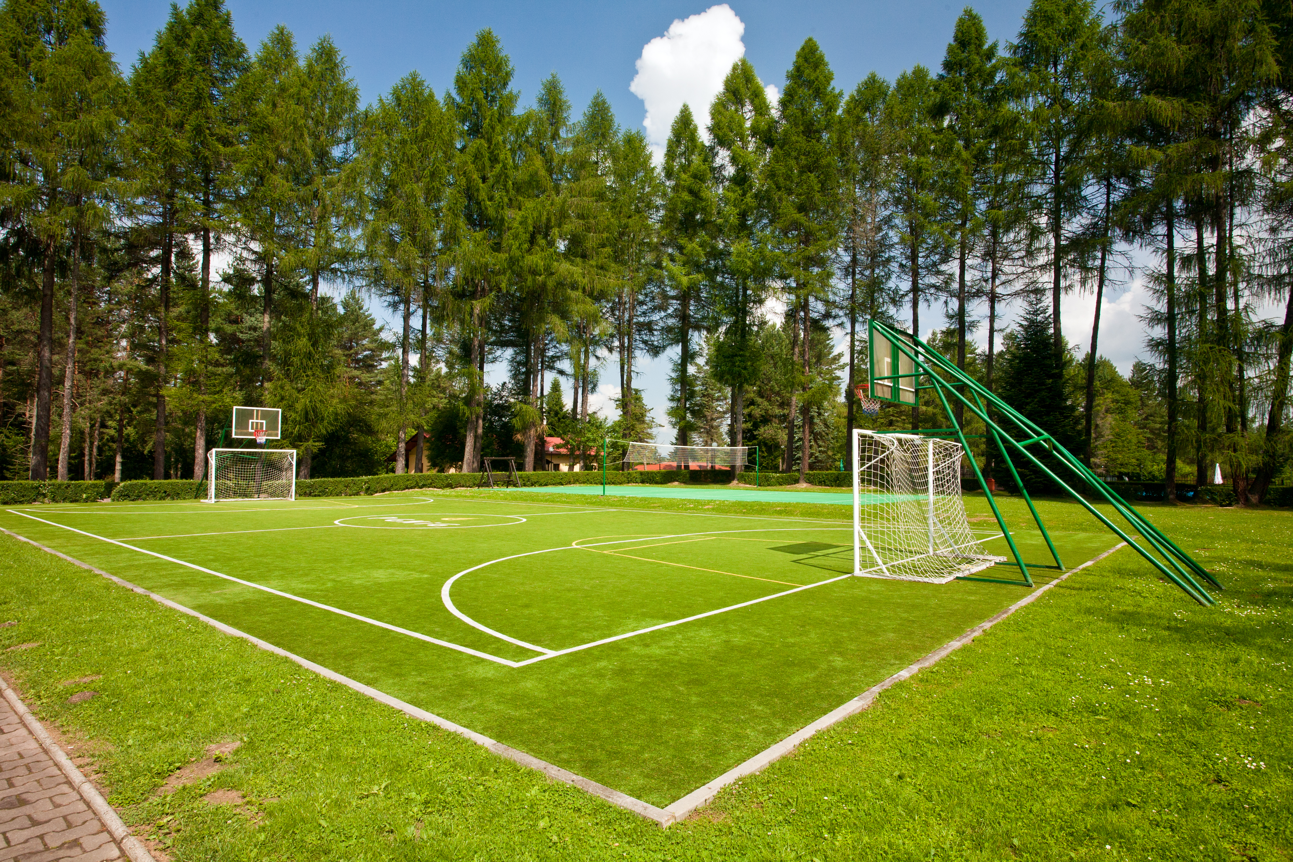 Sports and Entertainment