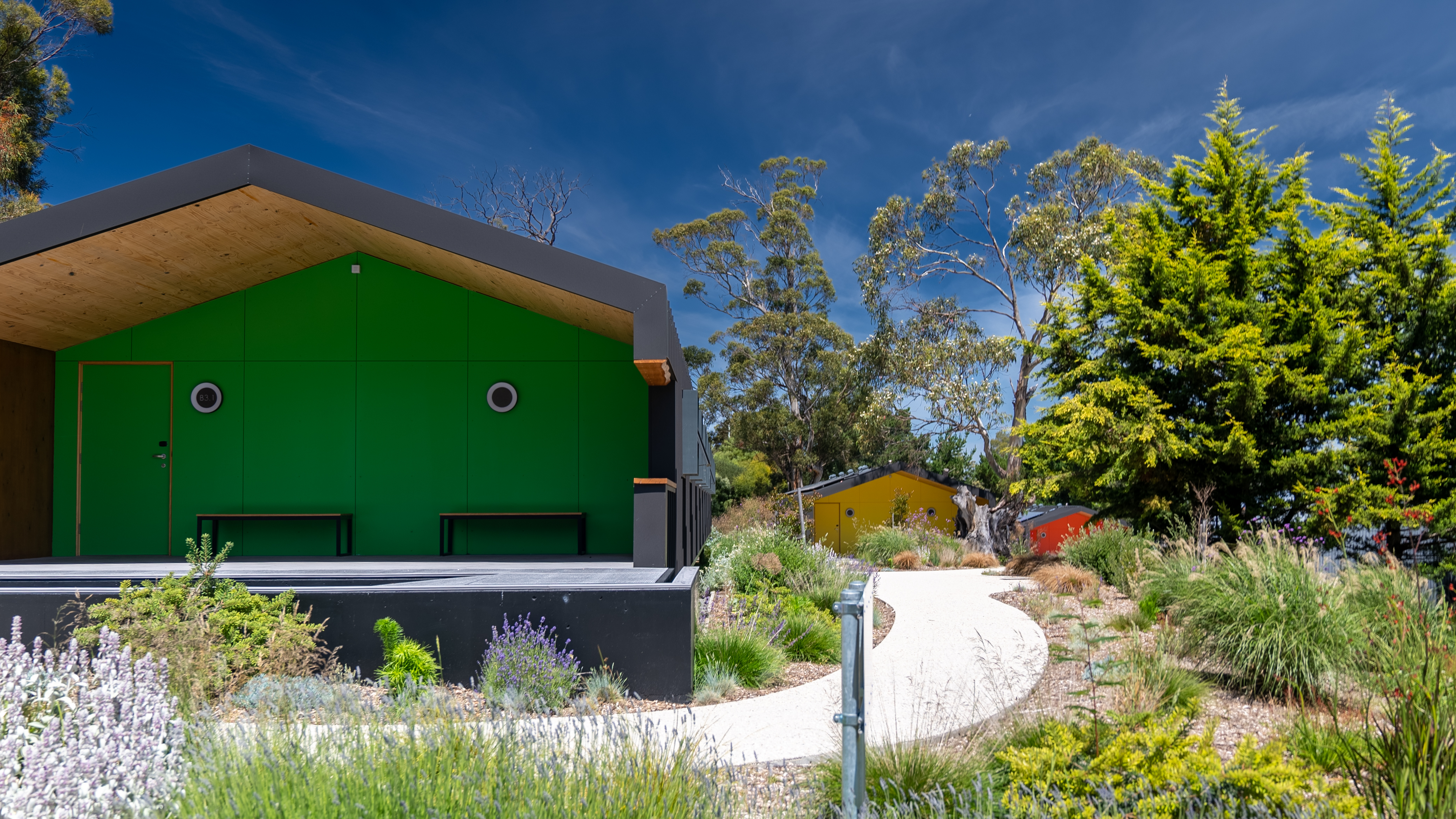 Double or Twin Basic