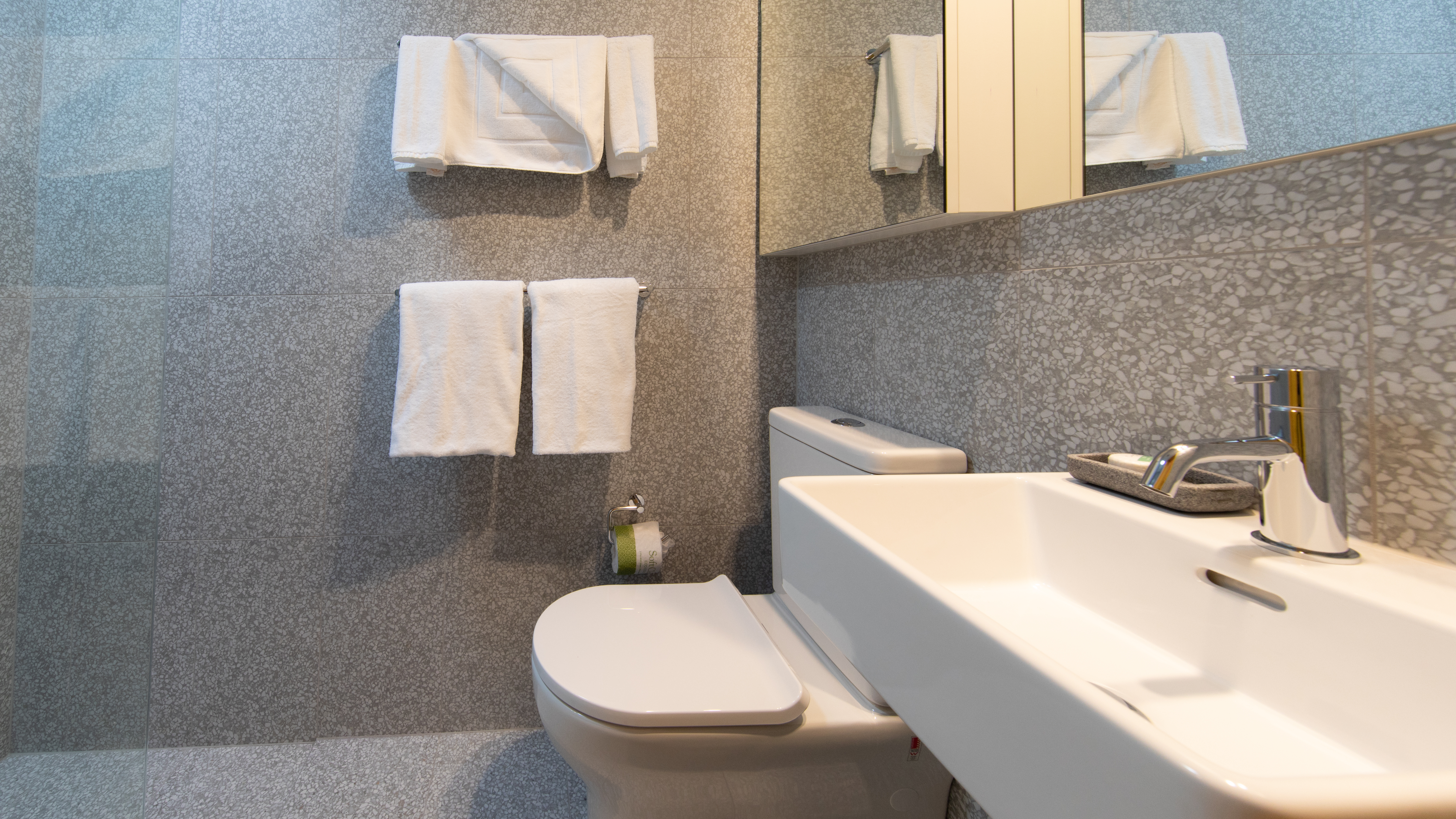 Double or Twin Basic