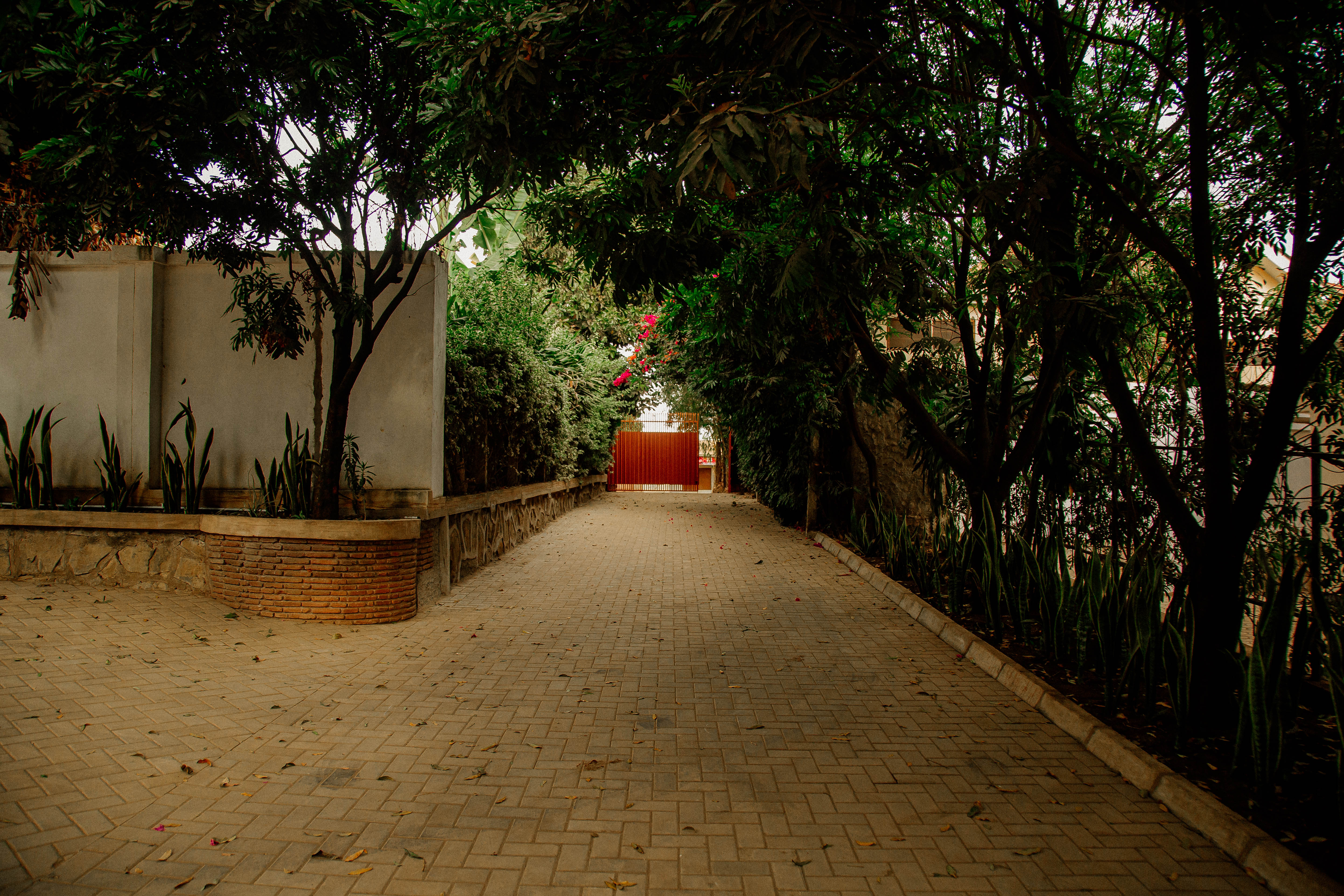 Double Deluxe with Balcony