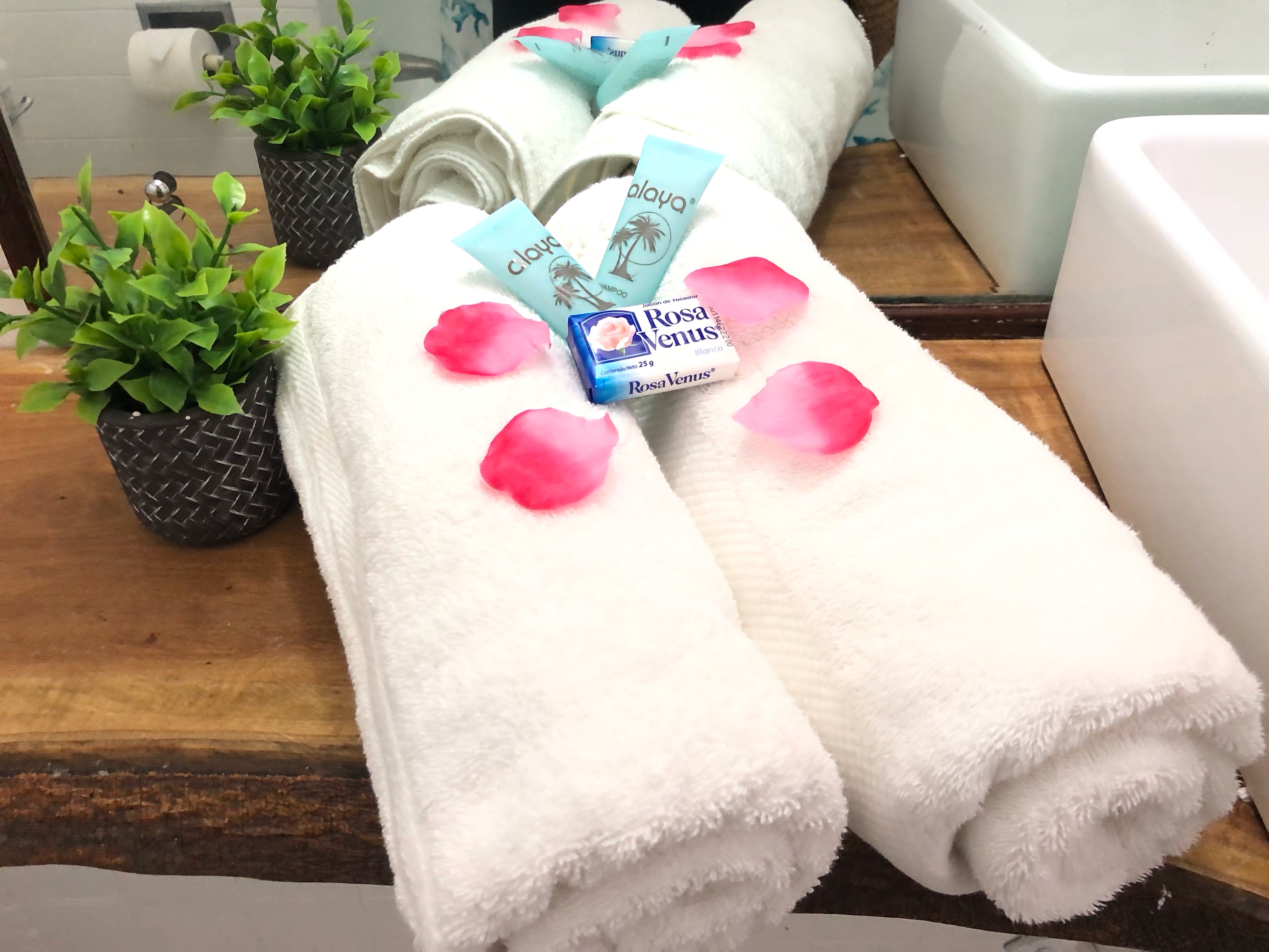 Double Queen Size Bed