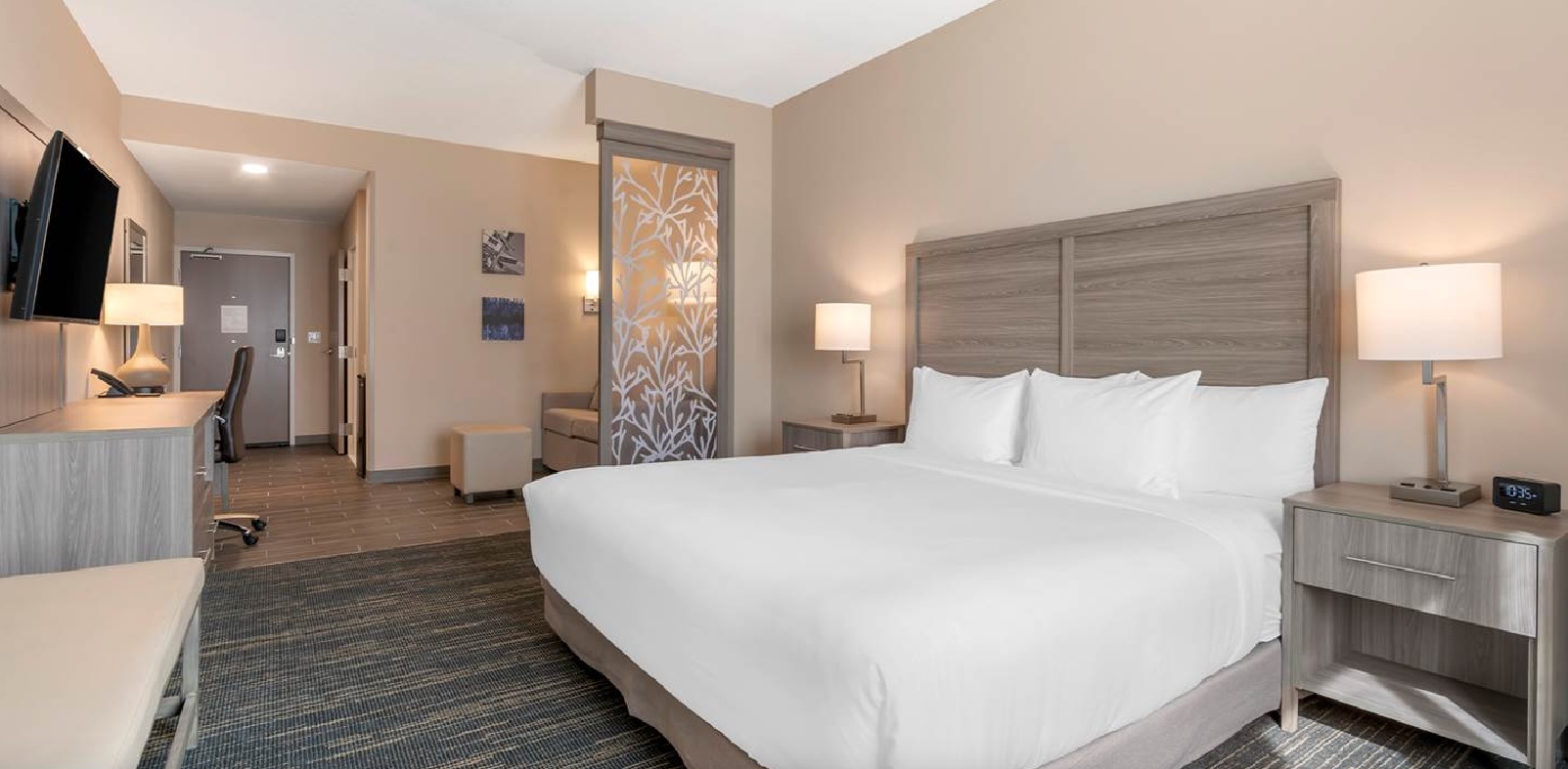 Suite Accessible King Size Bed