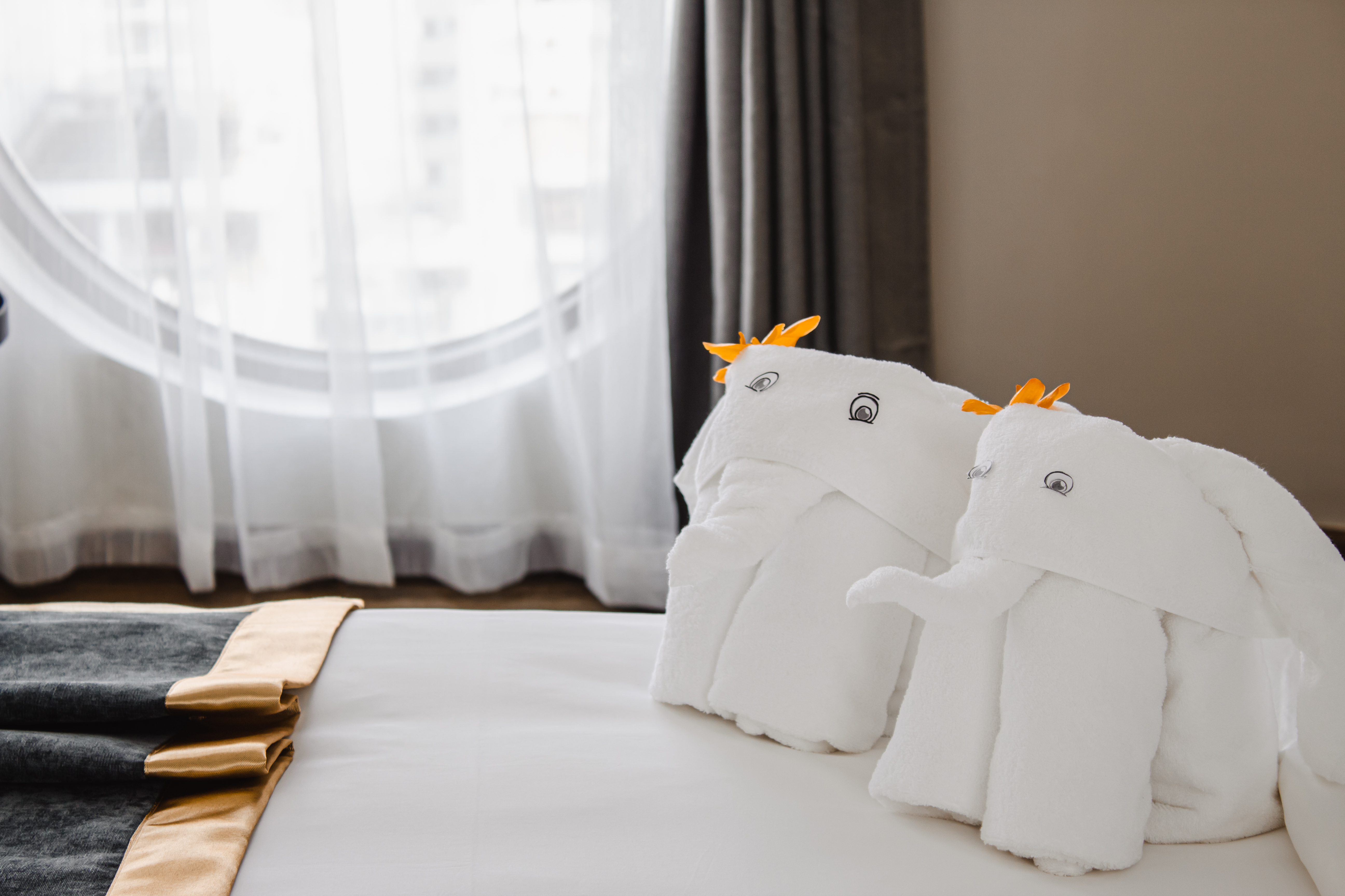 Junior Suite One Bed