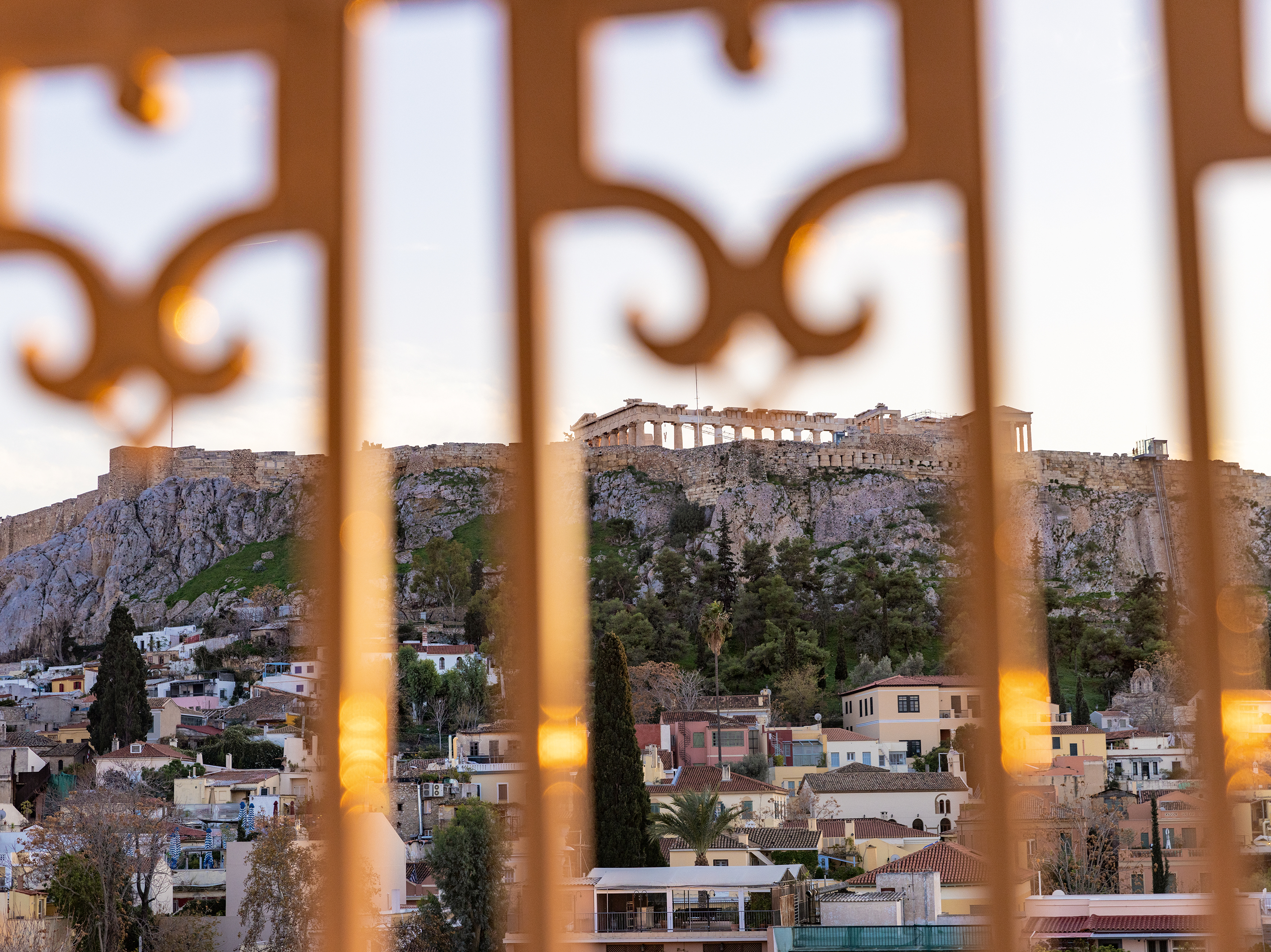 Junior Suite with Views