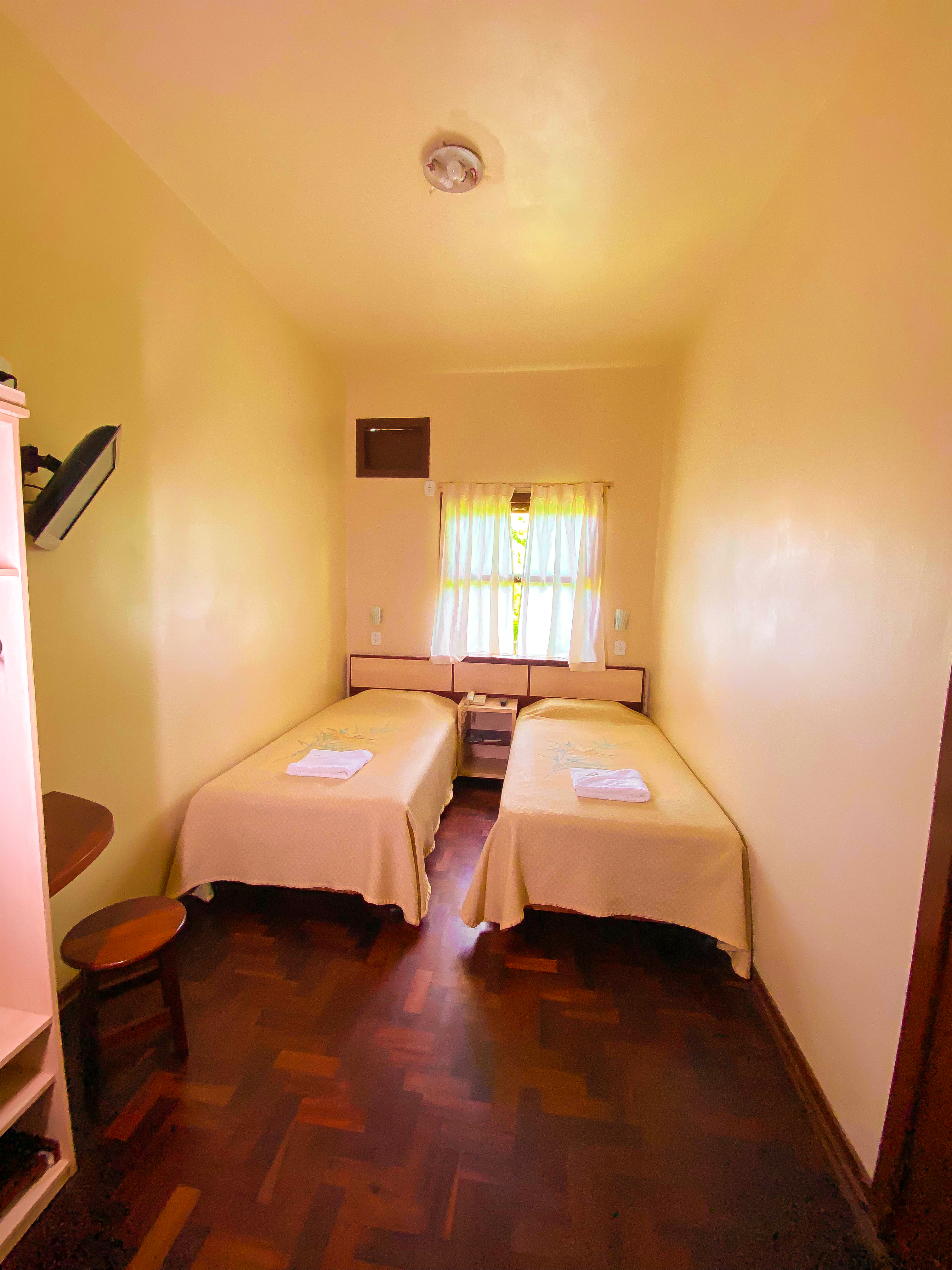 Double or Twin Economy