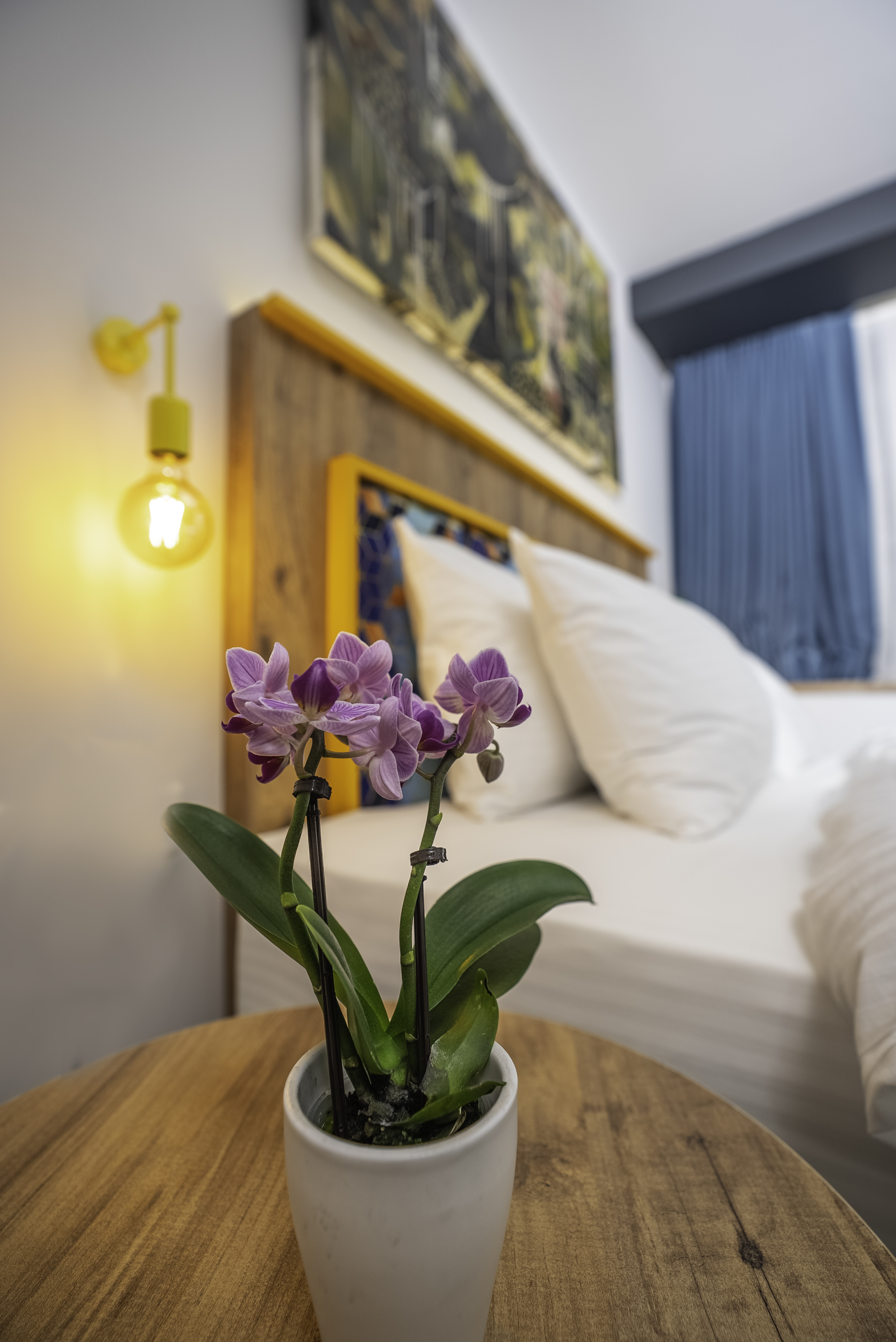 Double or Twin Business