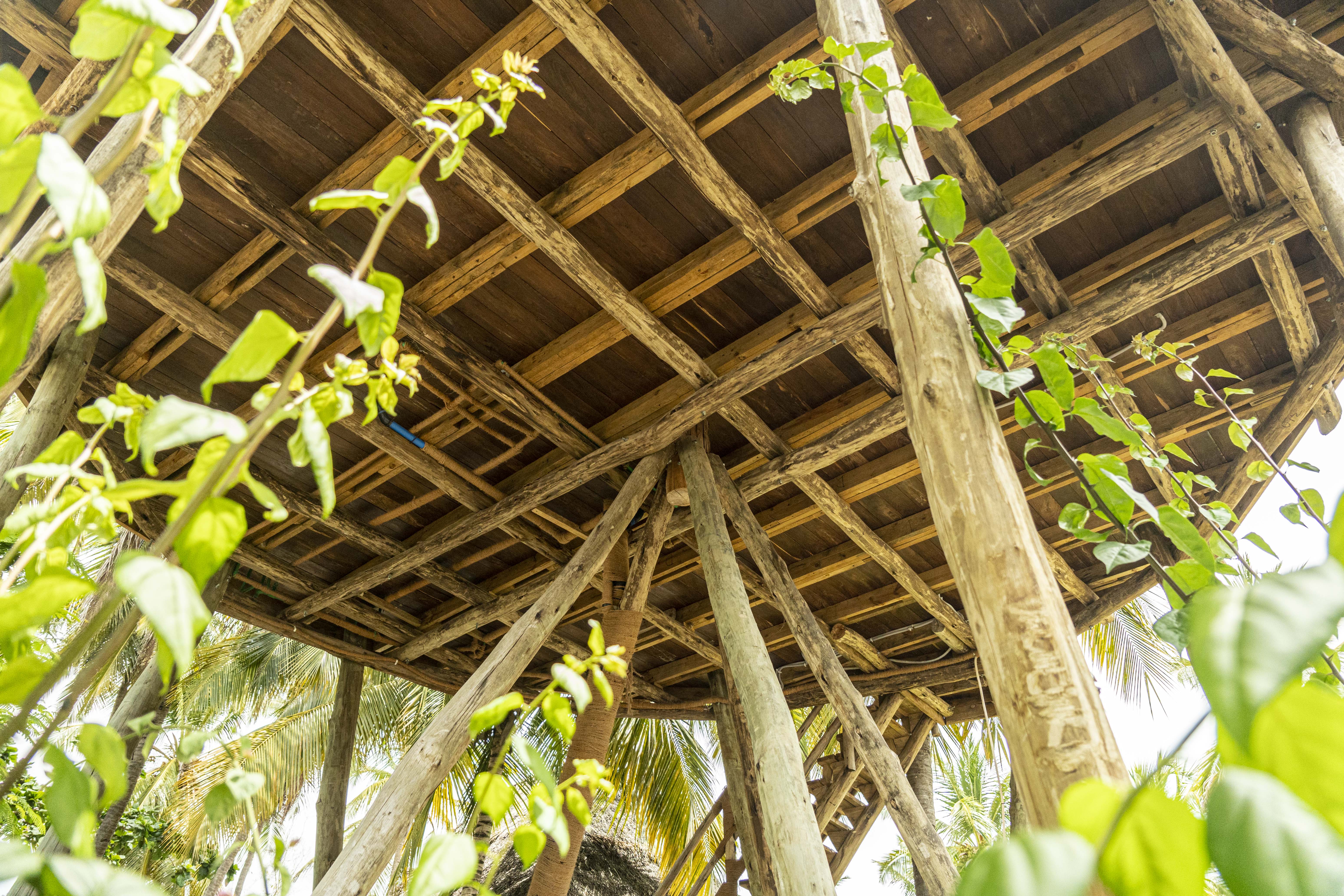 House Grand Superior