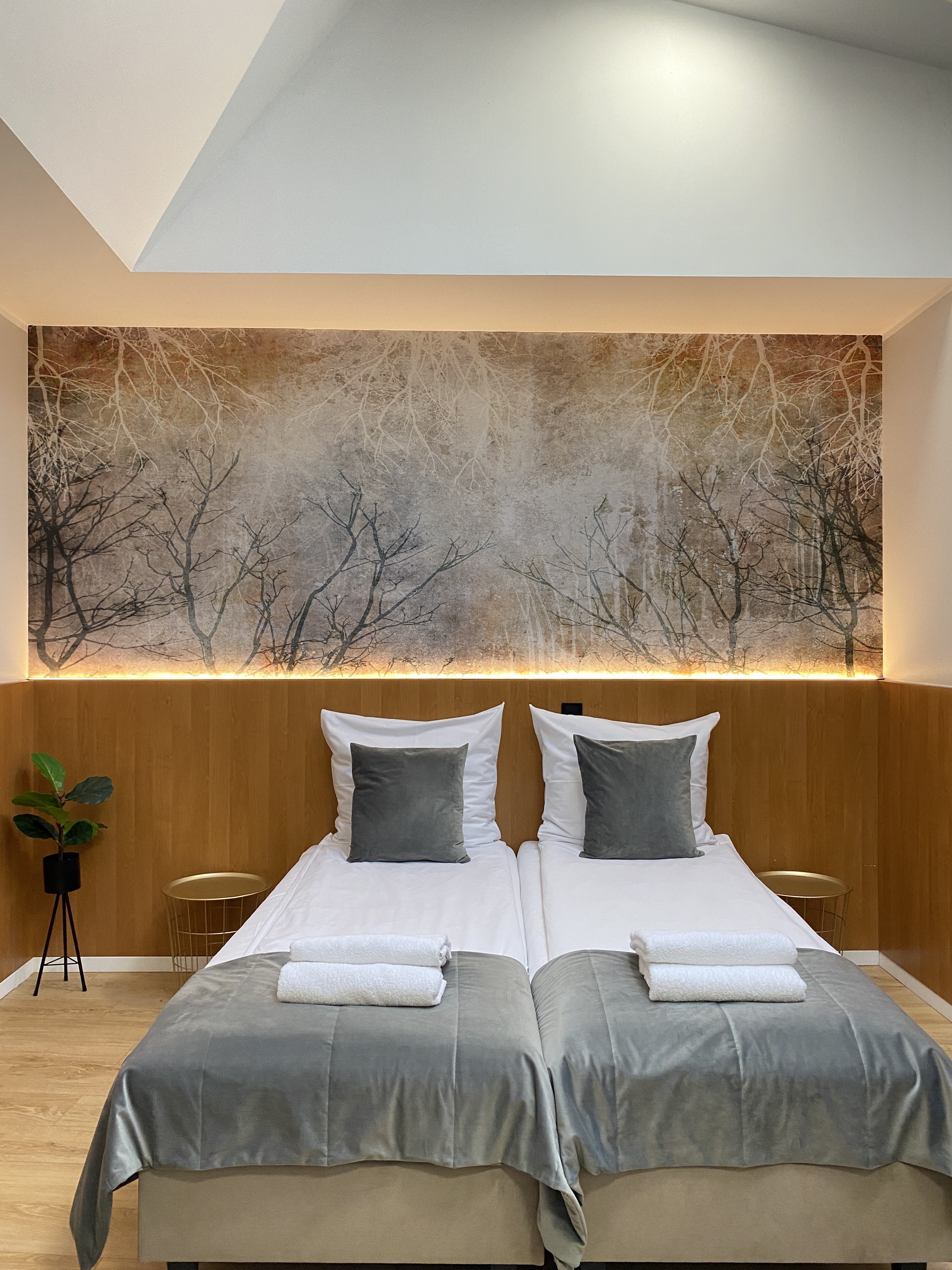 Double or Twin Standard