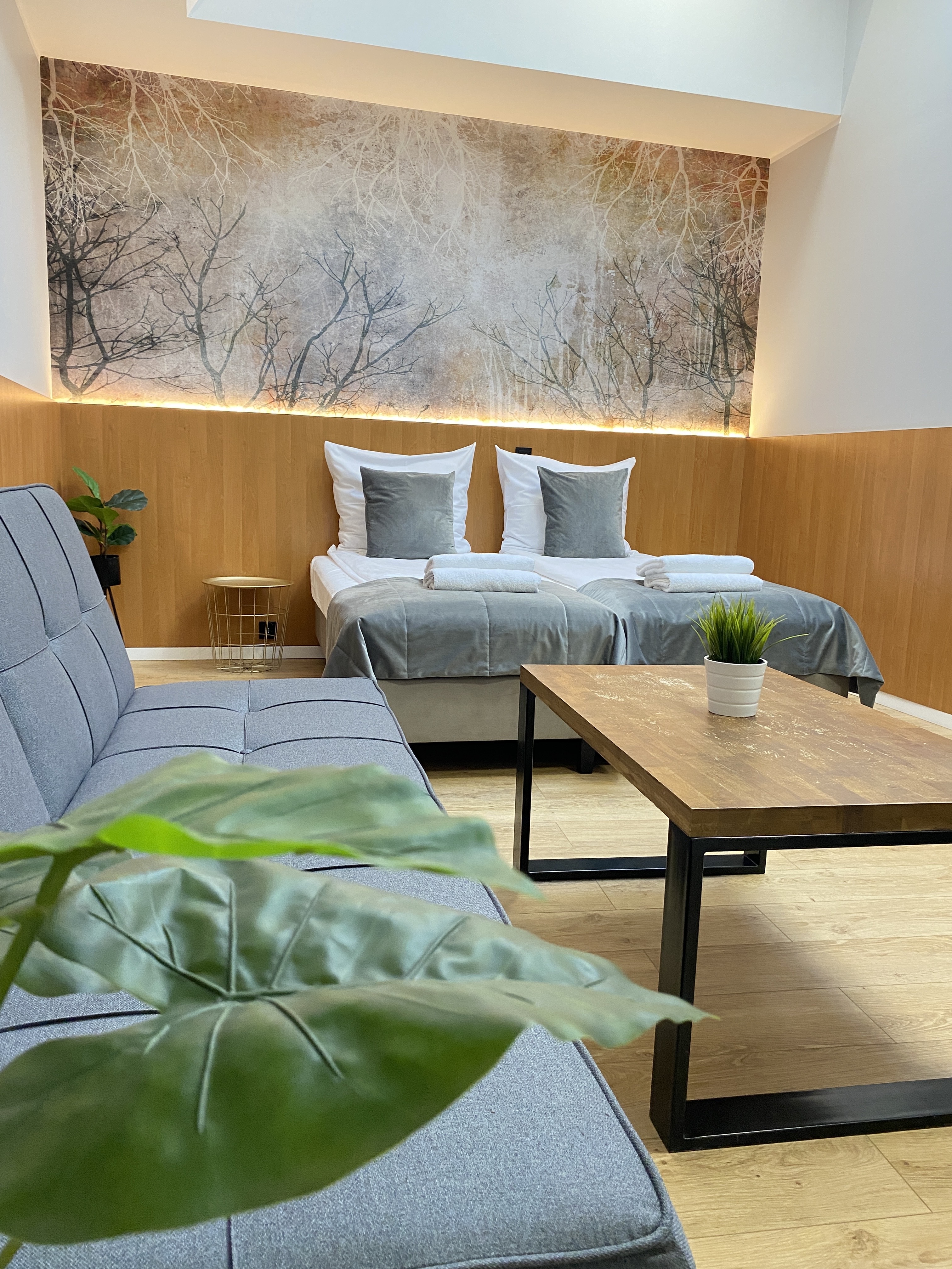 Double or Twin Standard