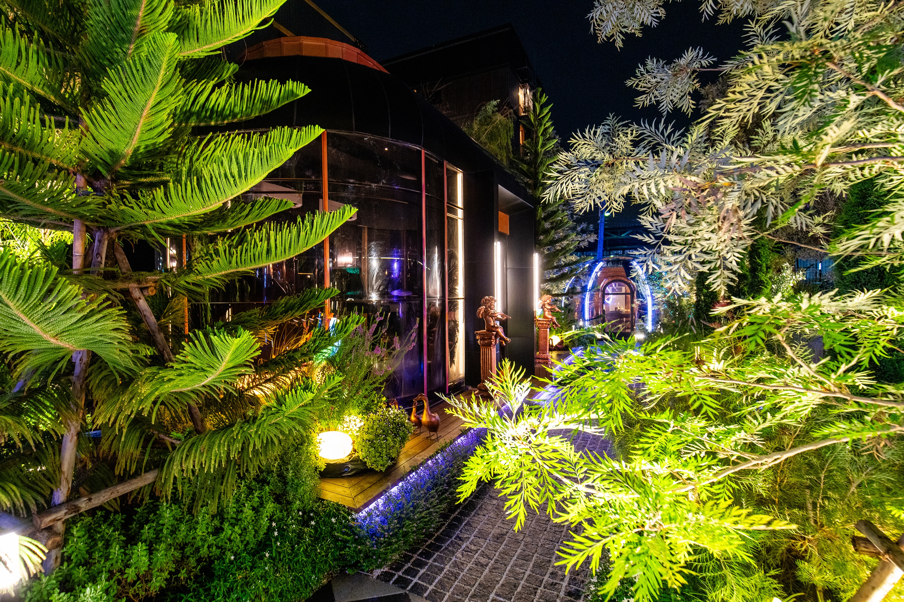 Sports and Entertainment