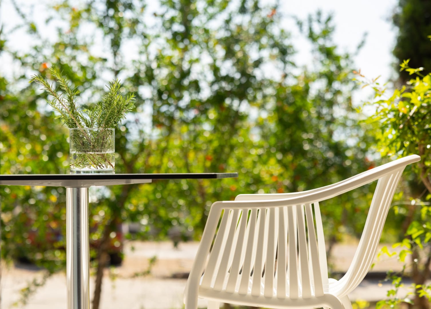 Double or Twin Basic