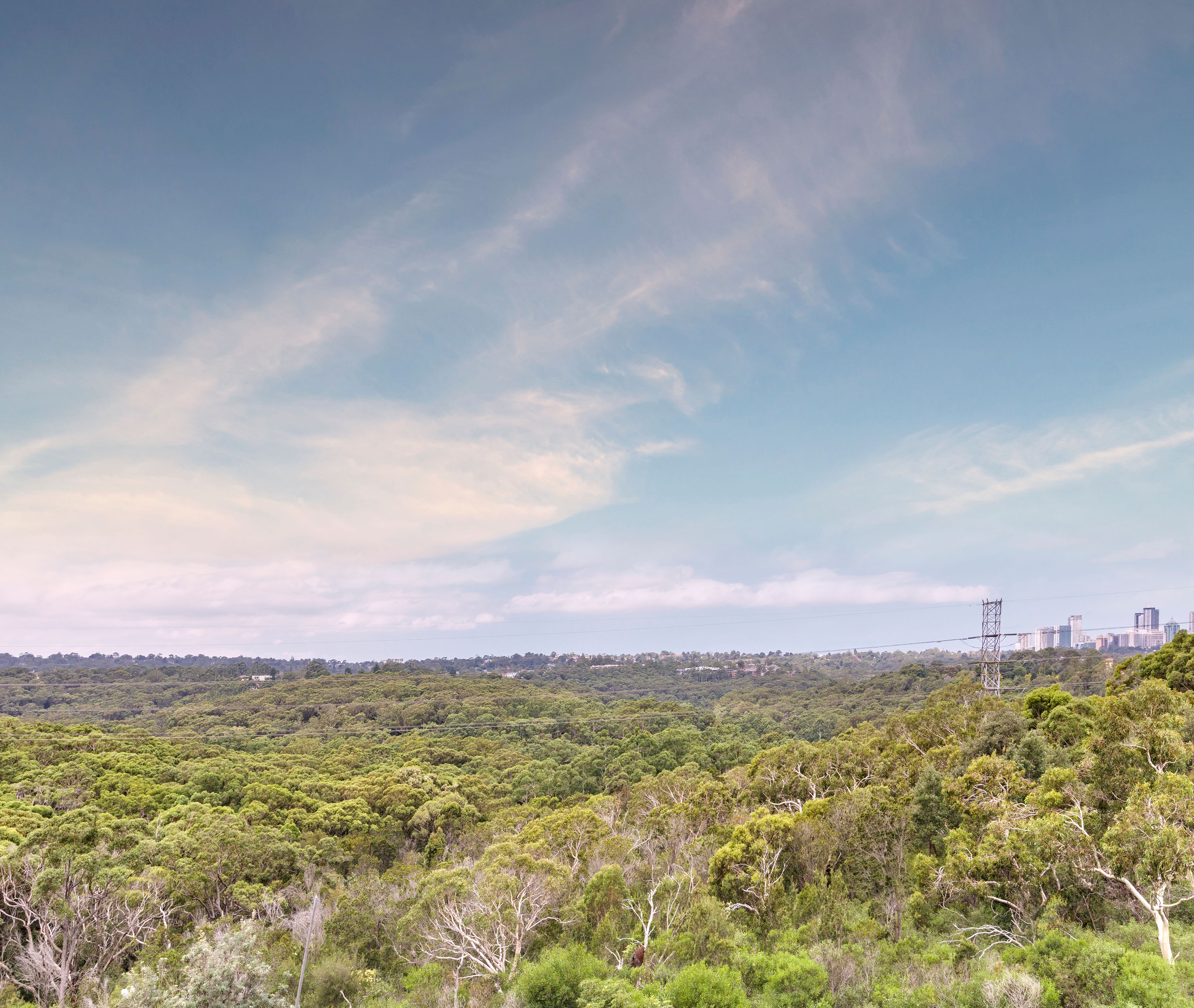 Apartment Deluxe One Bed