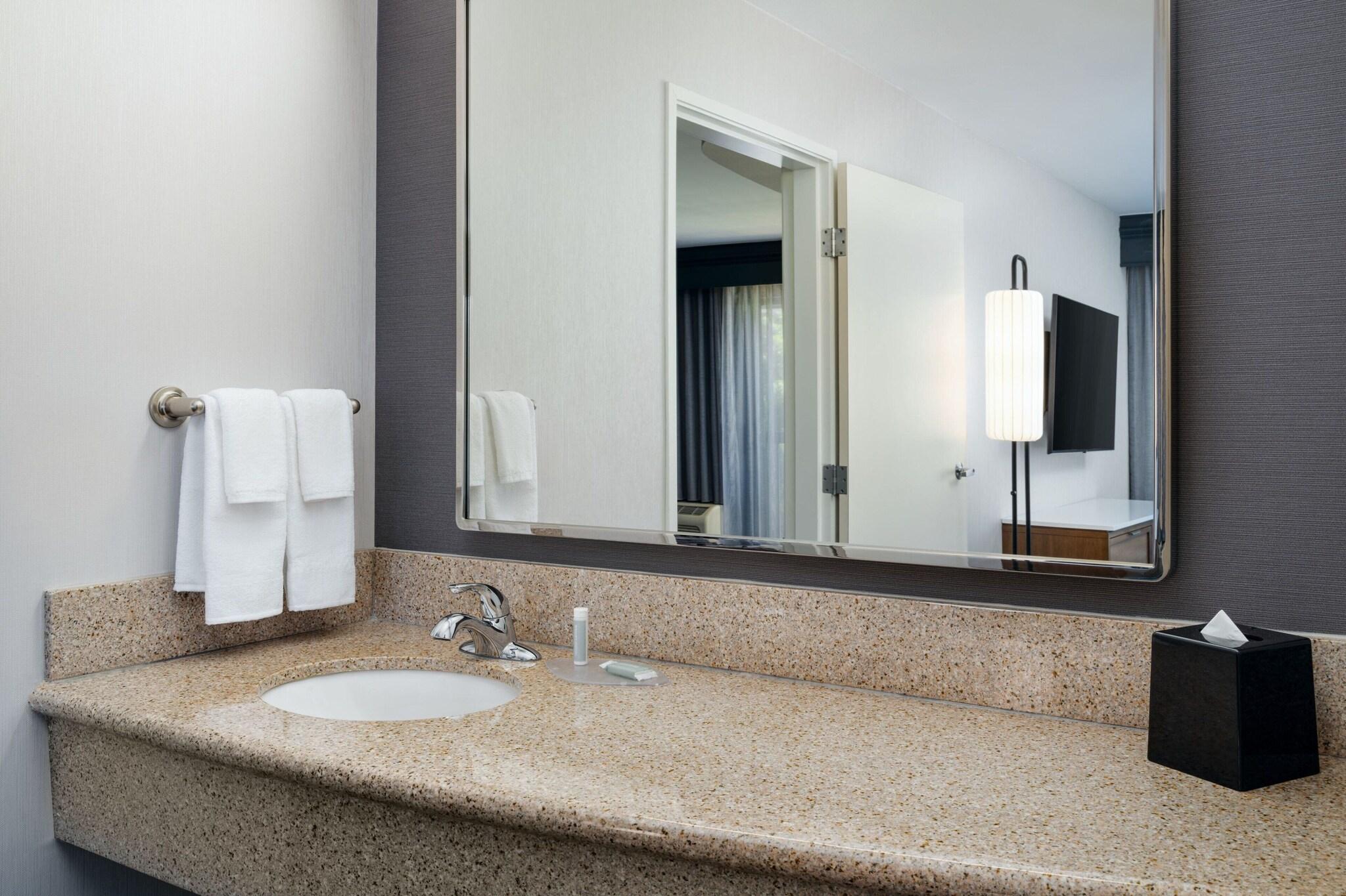 Suite King Bed One Bedroom 