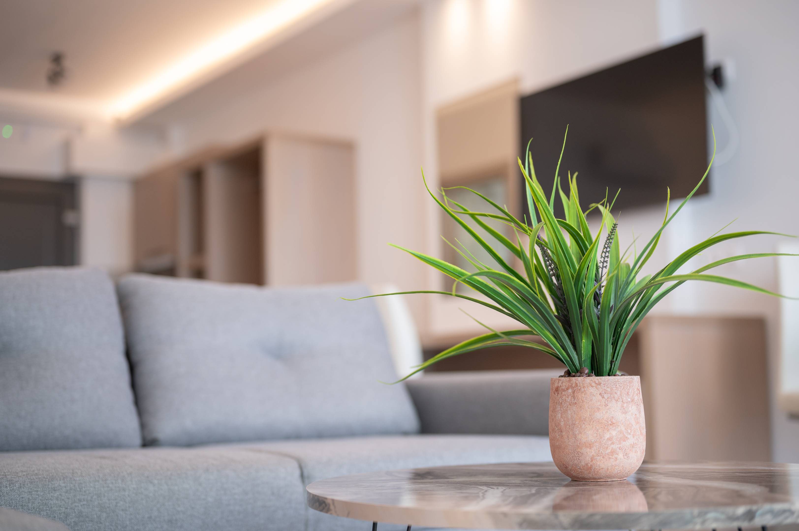 Room Deluxe Sea View with Balcony