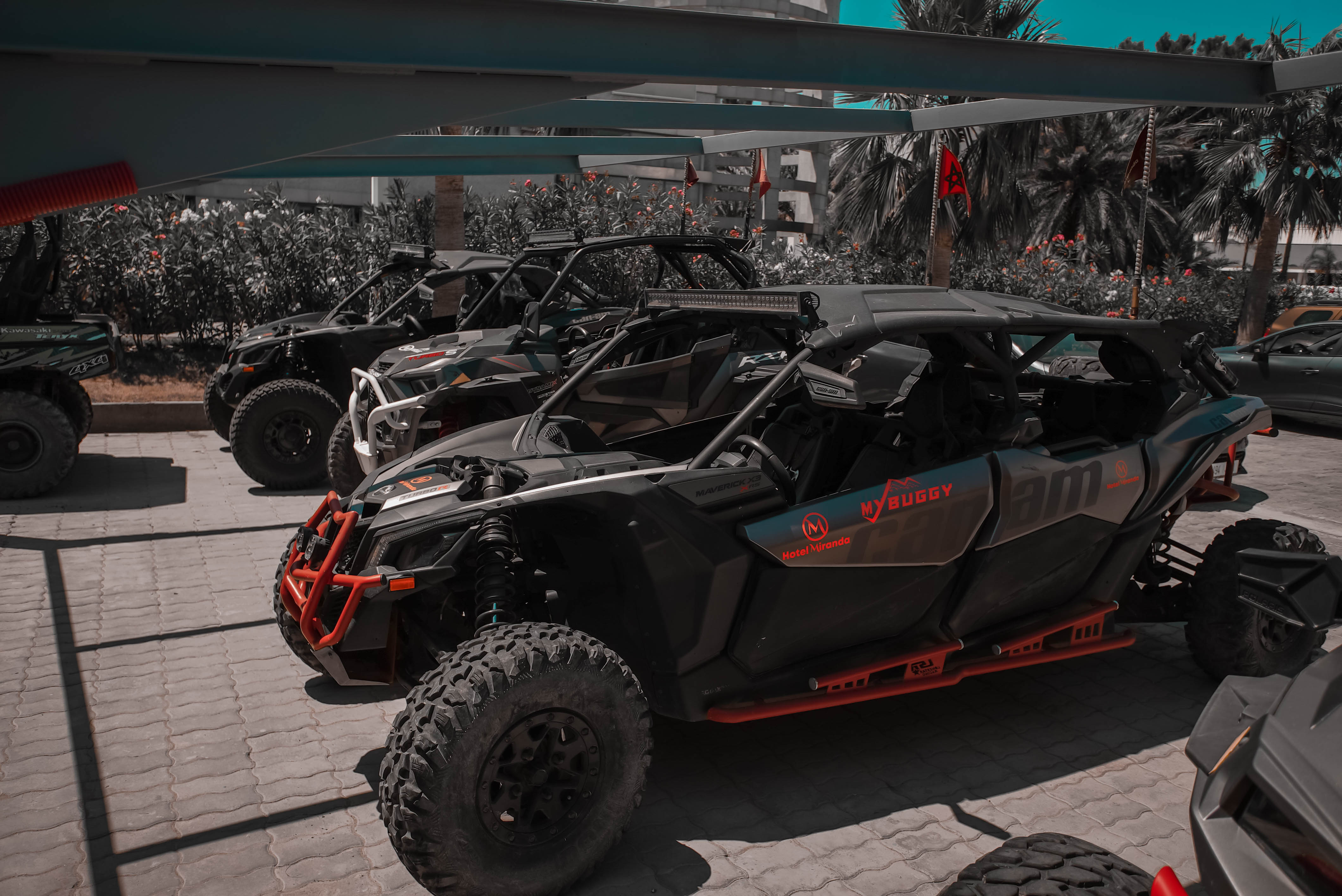 Sports and Entertainment