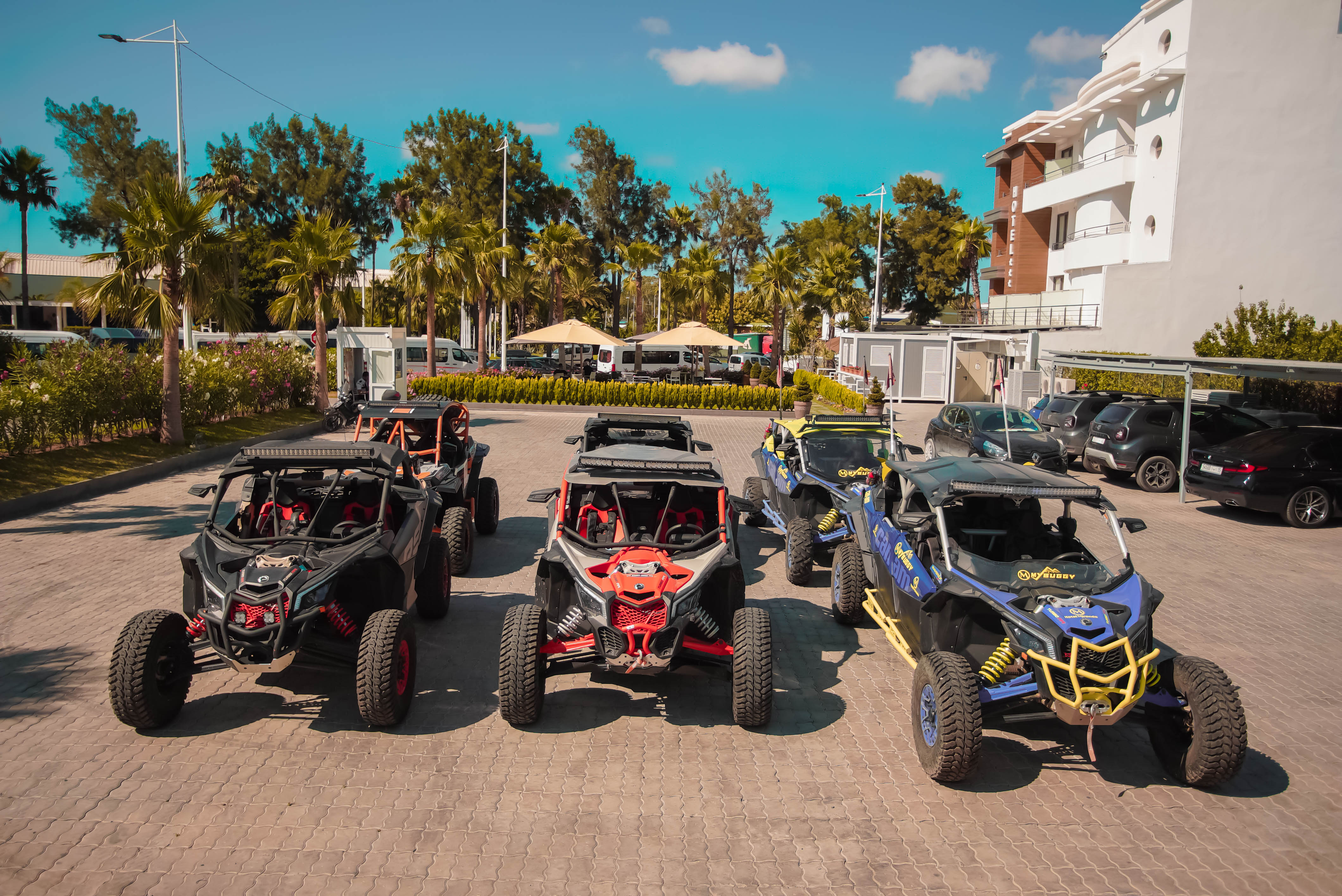 Sports and Entertainment