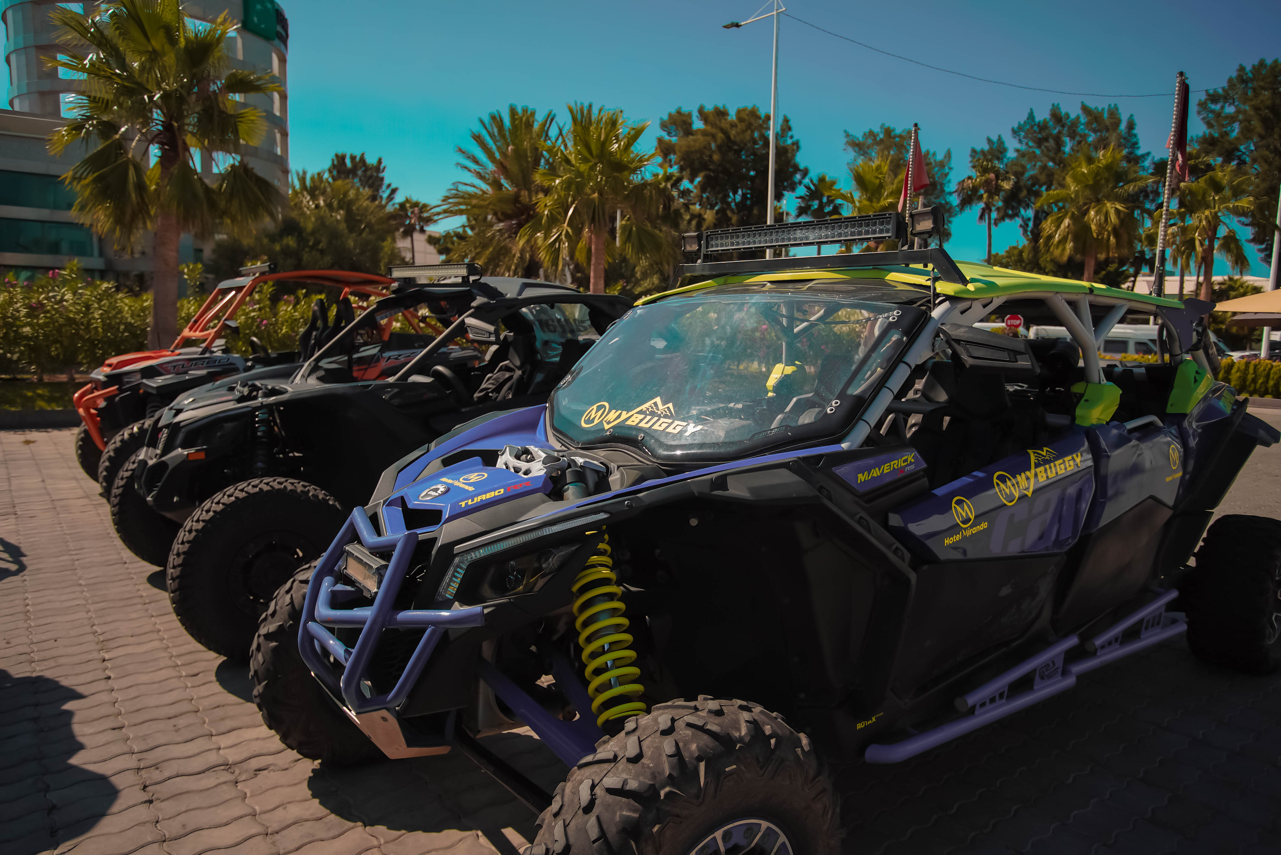 Sports and Entertainment