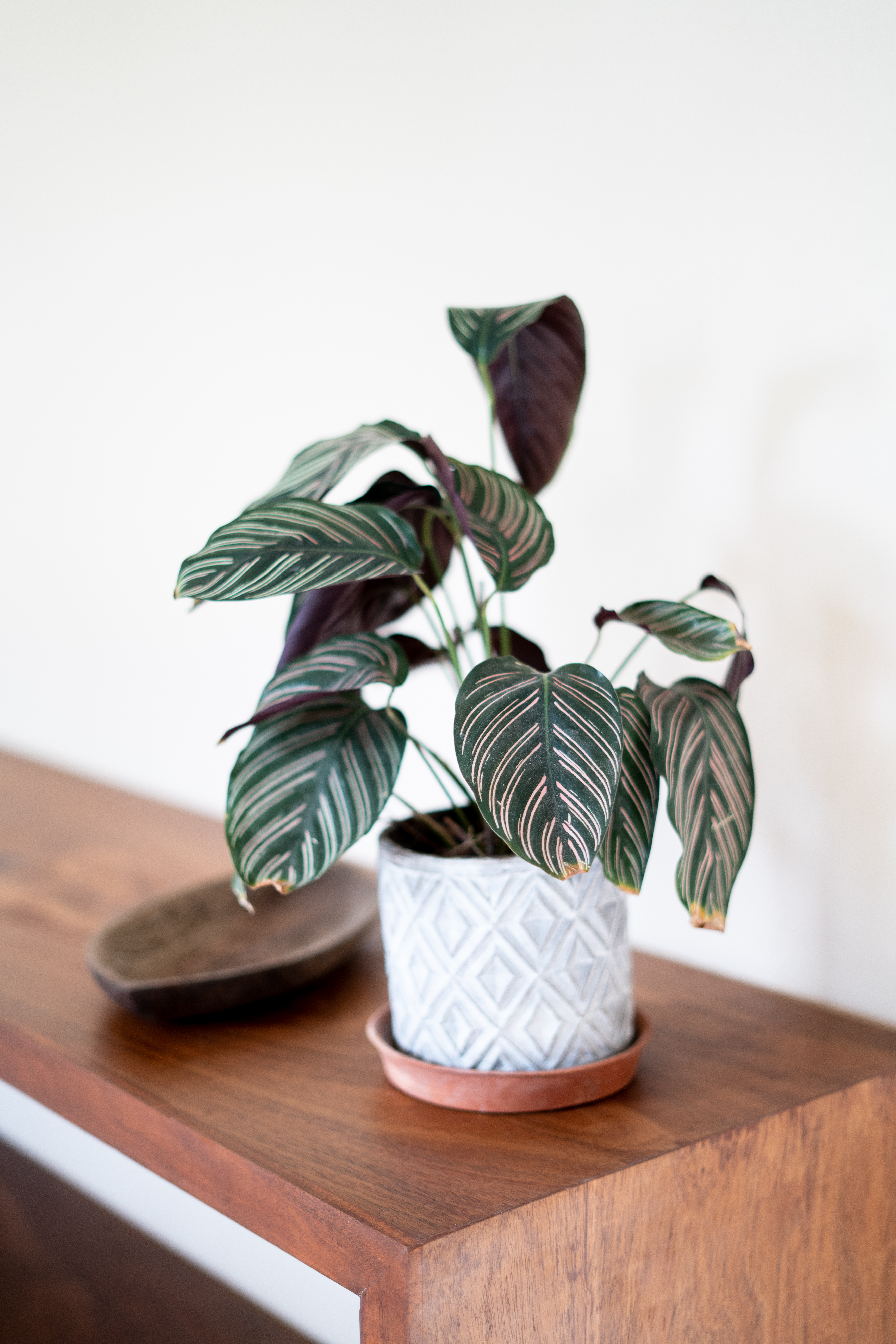 Junior Suite King Size Bed