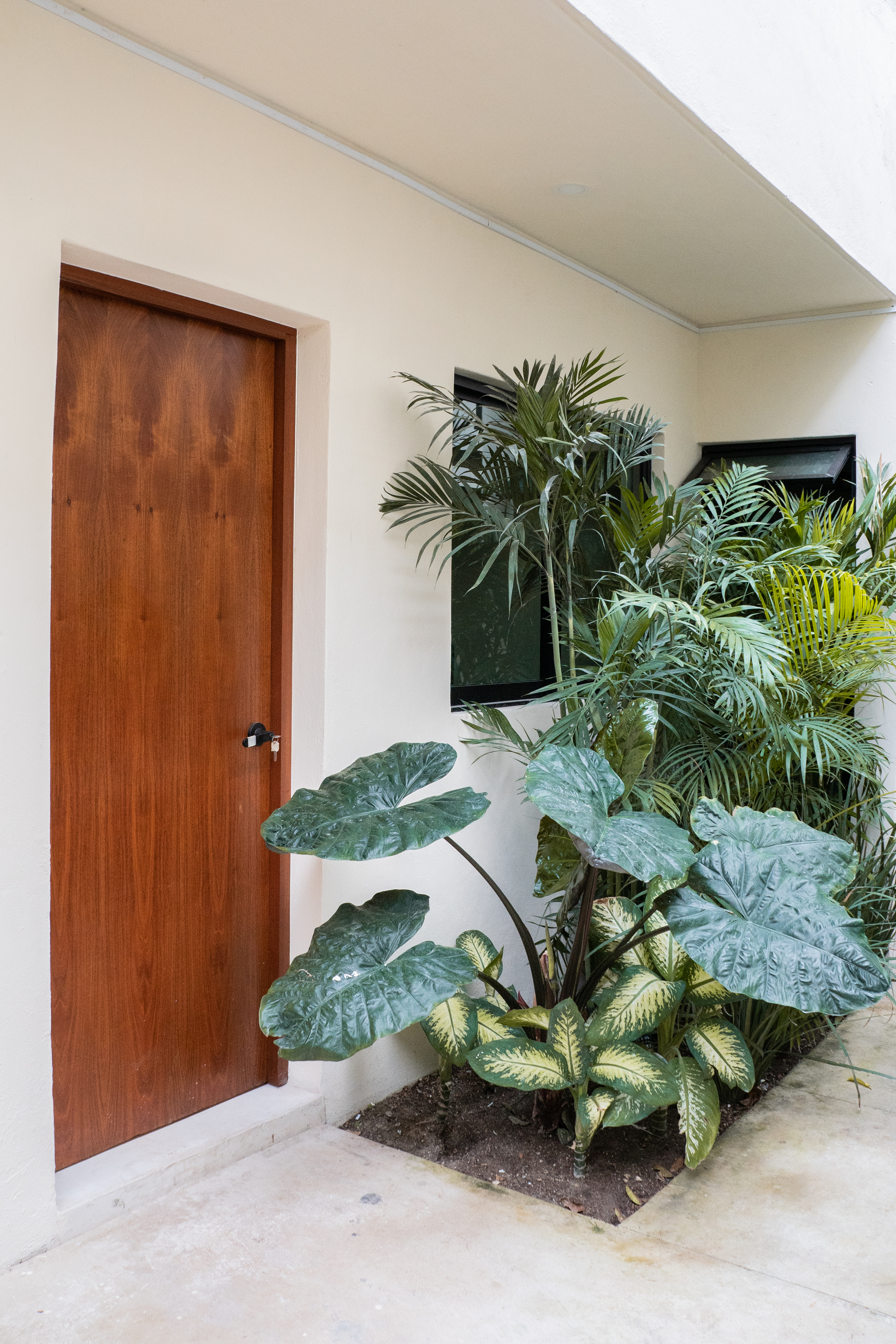 Junior Suite Queen Size Bed